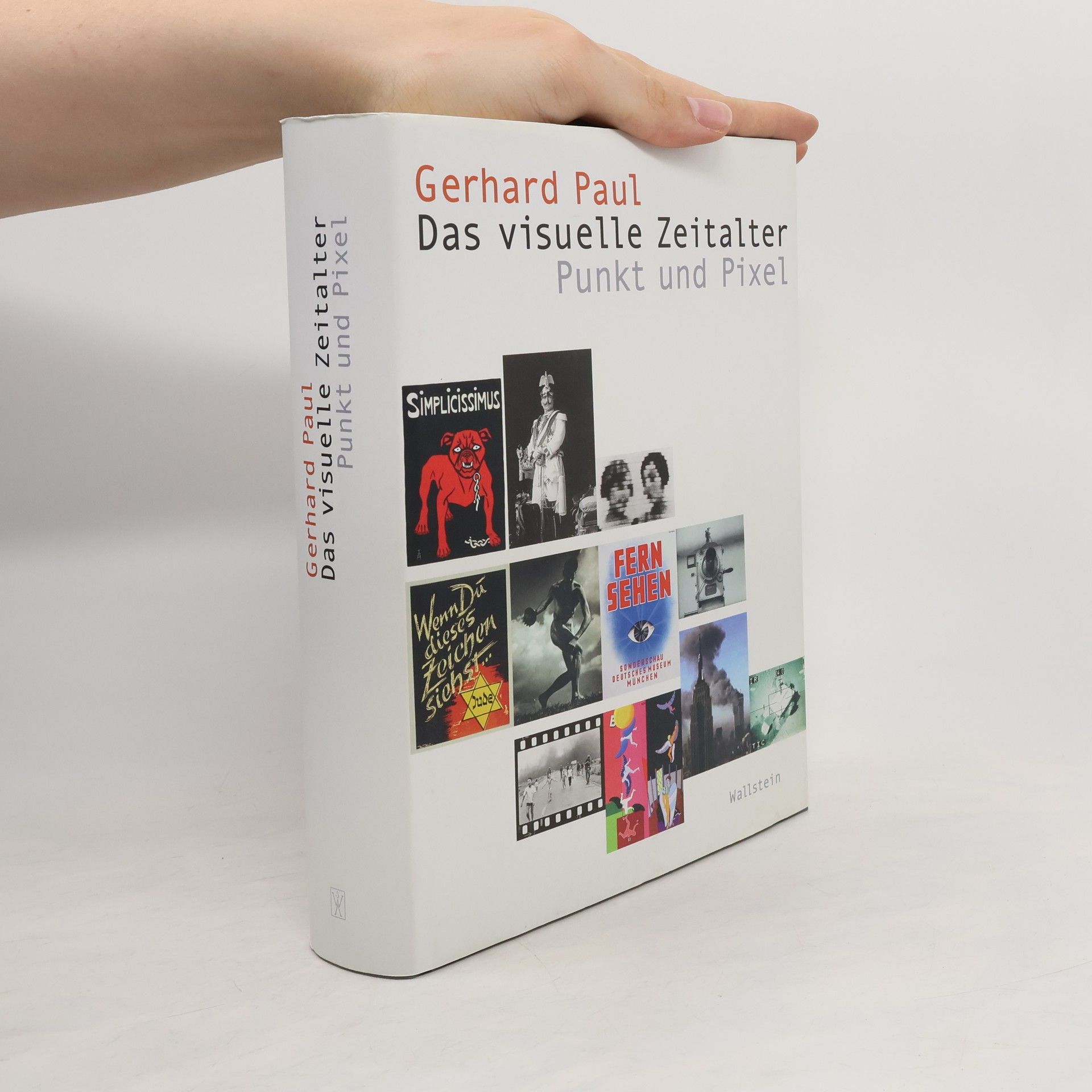 Paul-Gerhard Reinhard Das visuelle Zeitalter