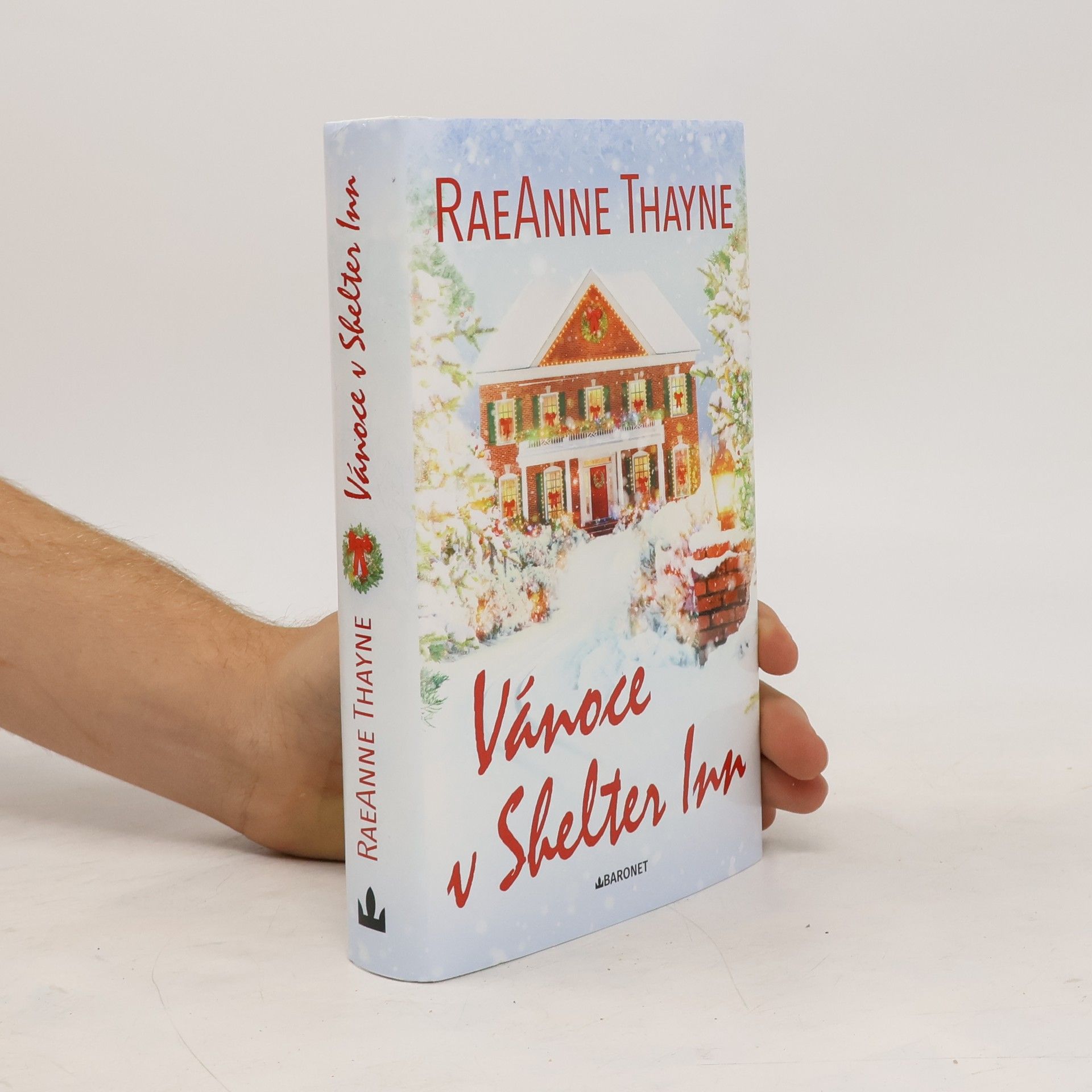 Thayne RaeAnne Vánoce v Shelter Inn