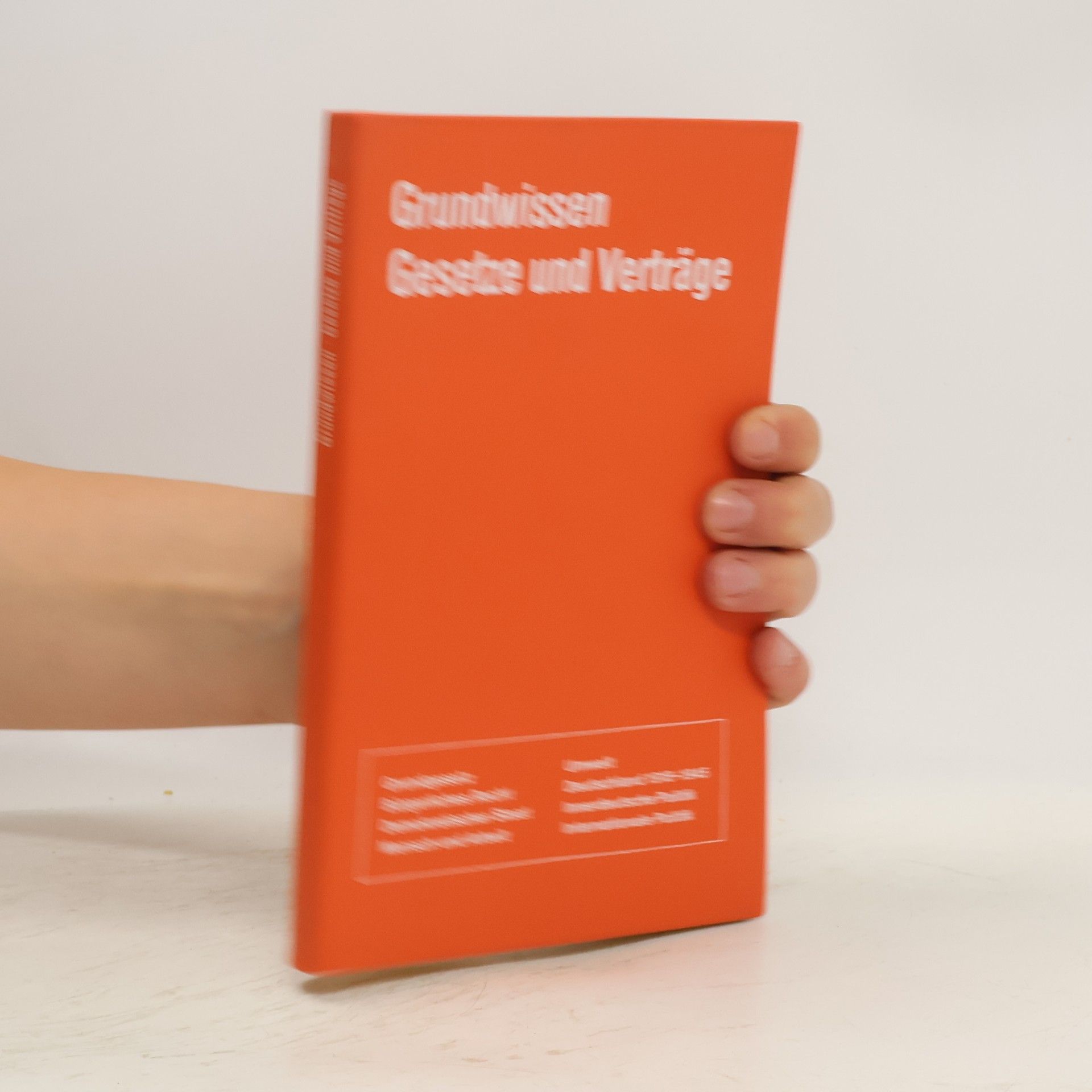 Roland Blessing Grundwissen Gesetze und Verträge