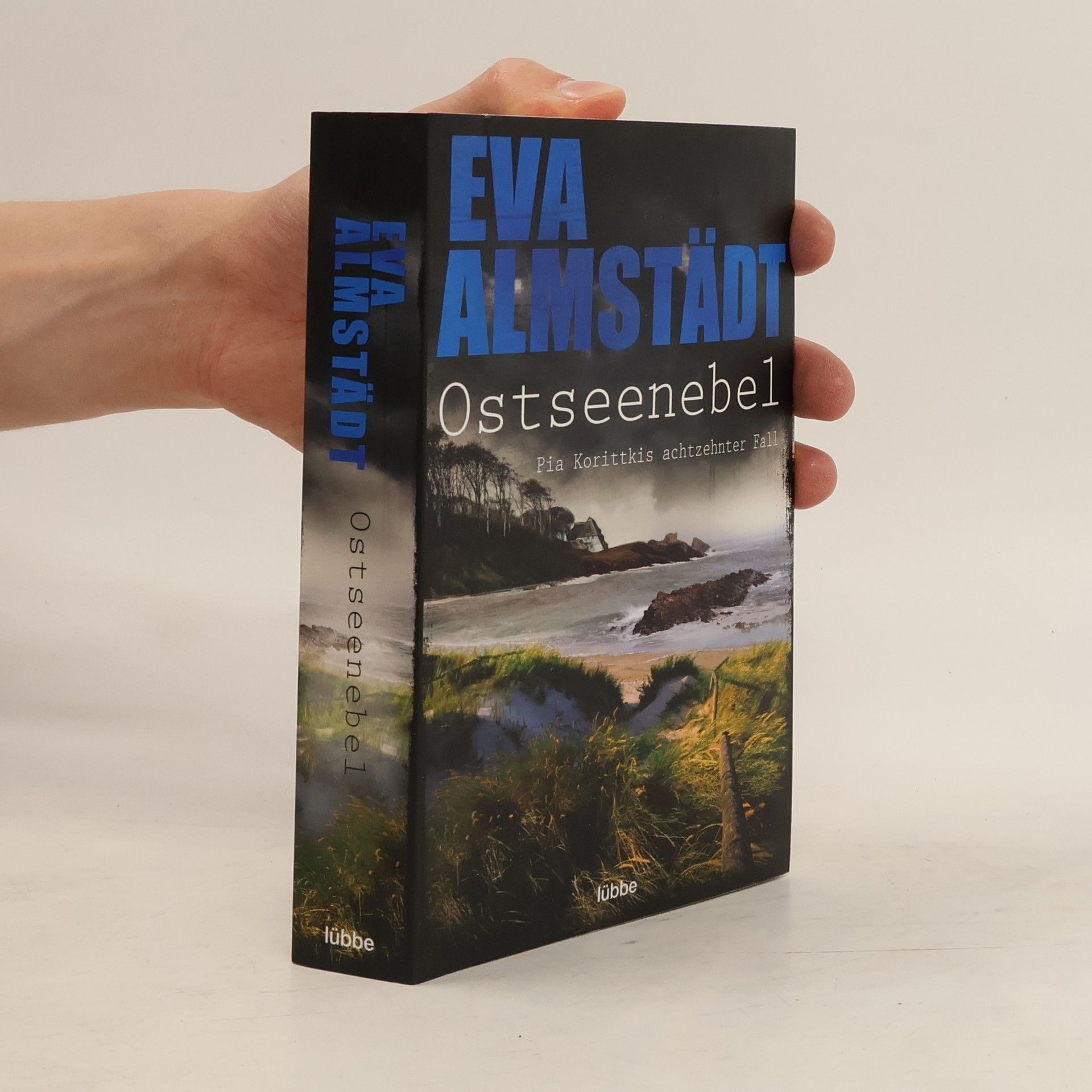 Eva Almstädt Ostseenebel