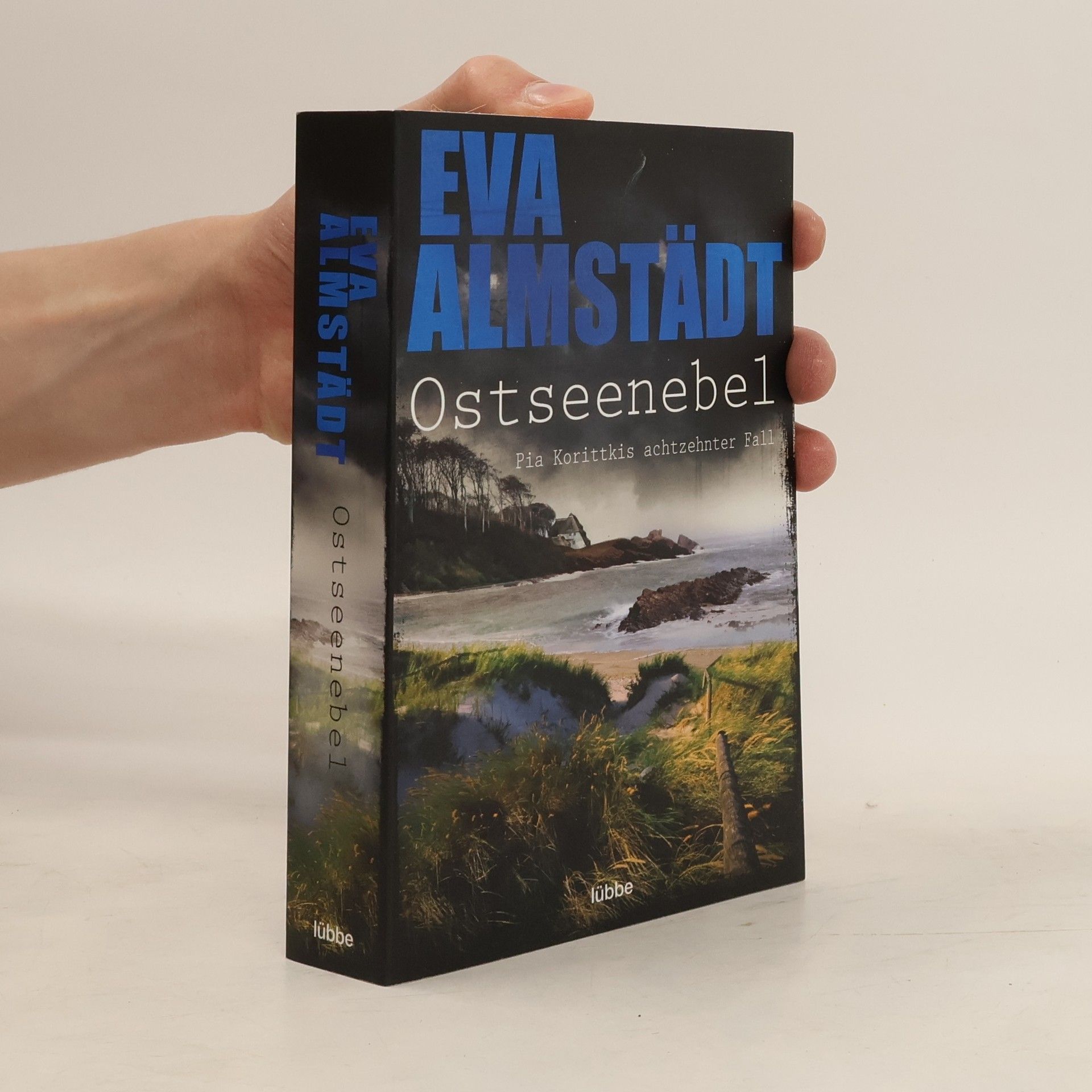 Eva Almstadt Ostseenebel