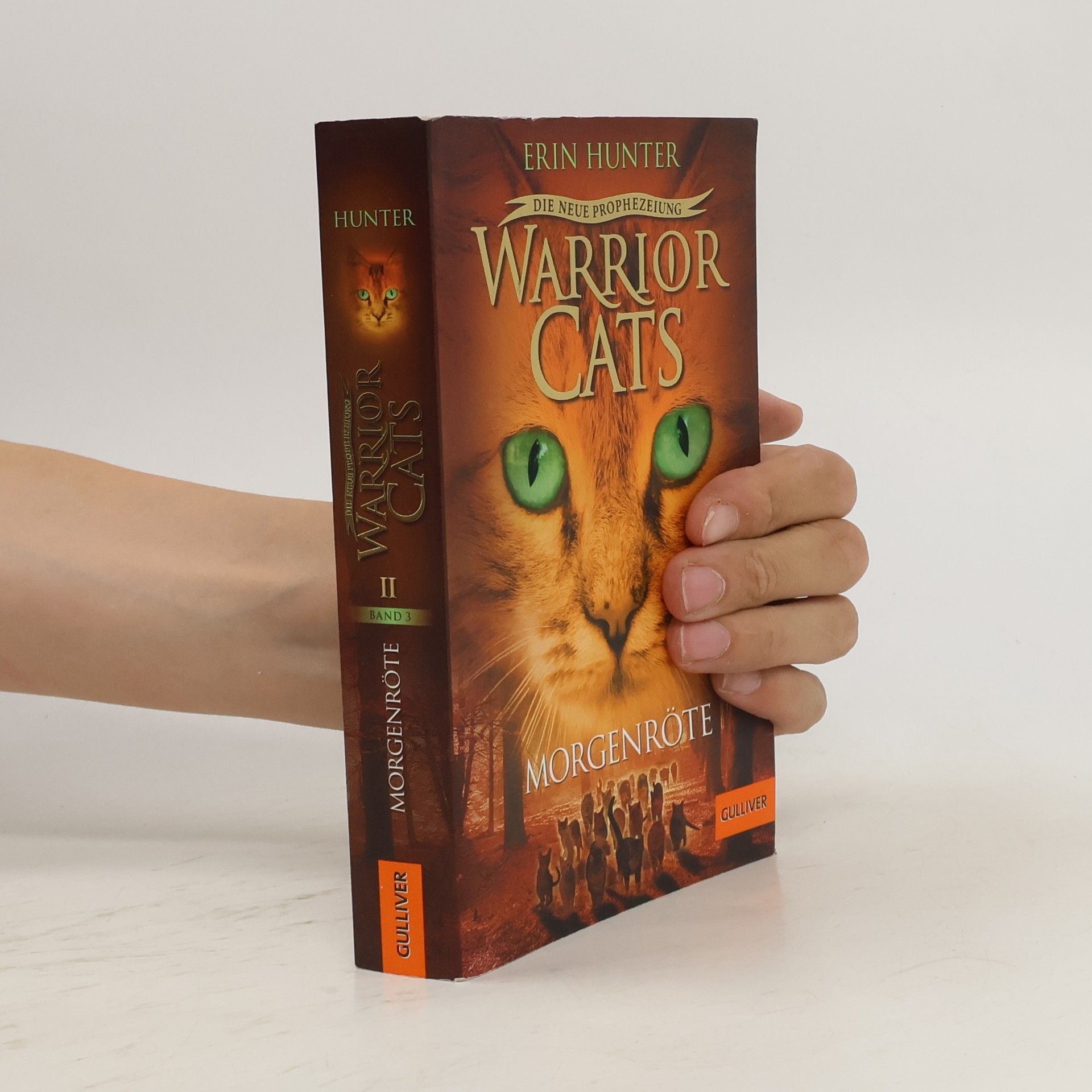 Erin Hunter Warrior Cats. Die neue Prophezeiung Band 3. Morgenröte