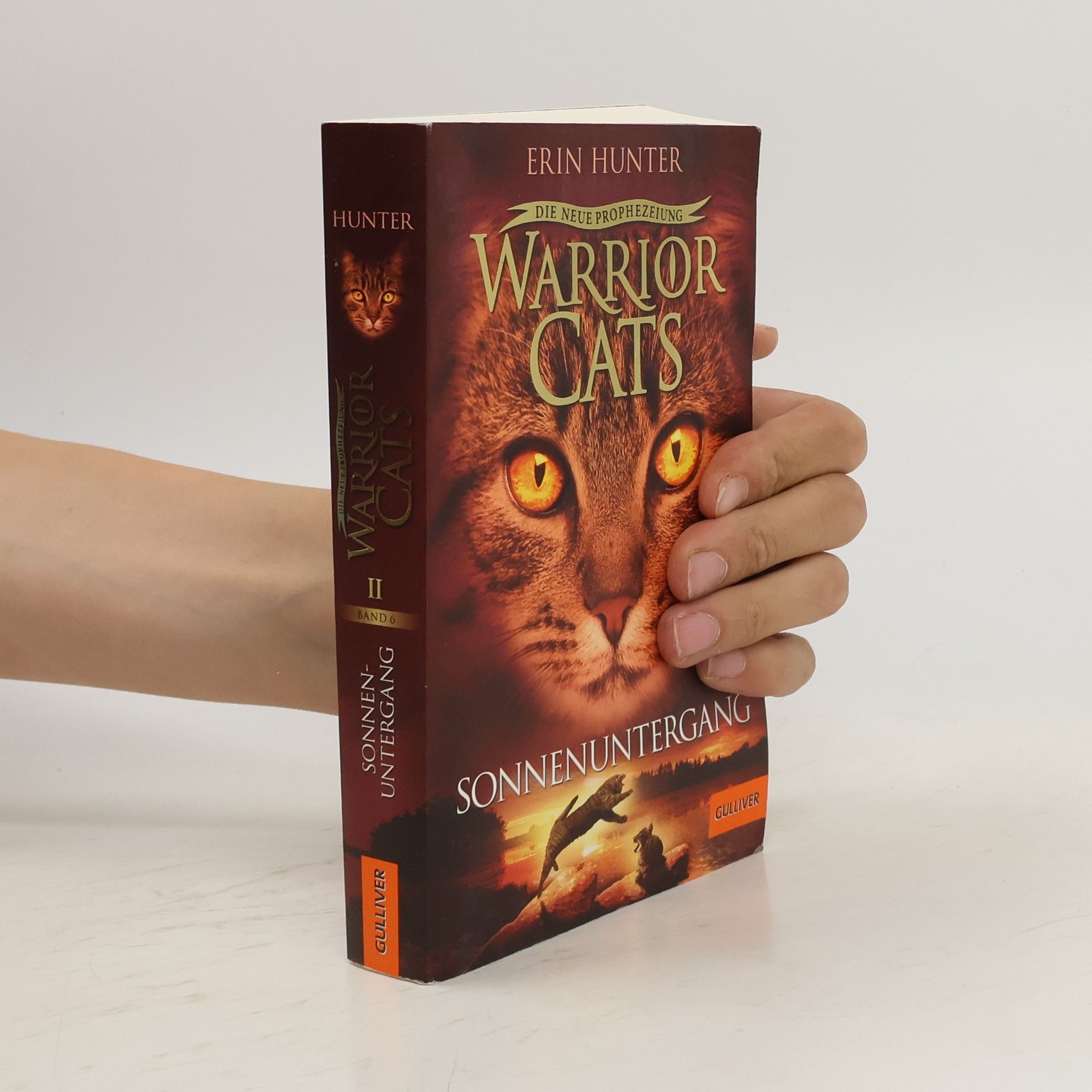 Erin Hunter Sonnenuntergang