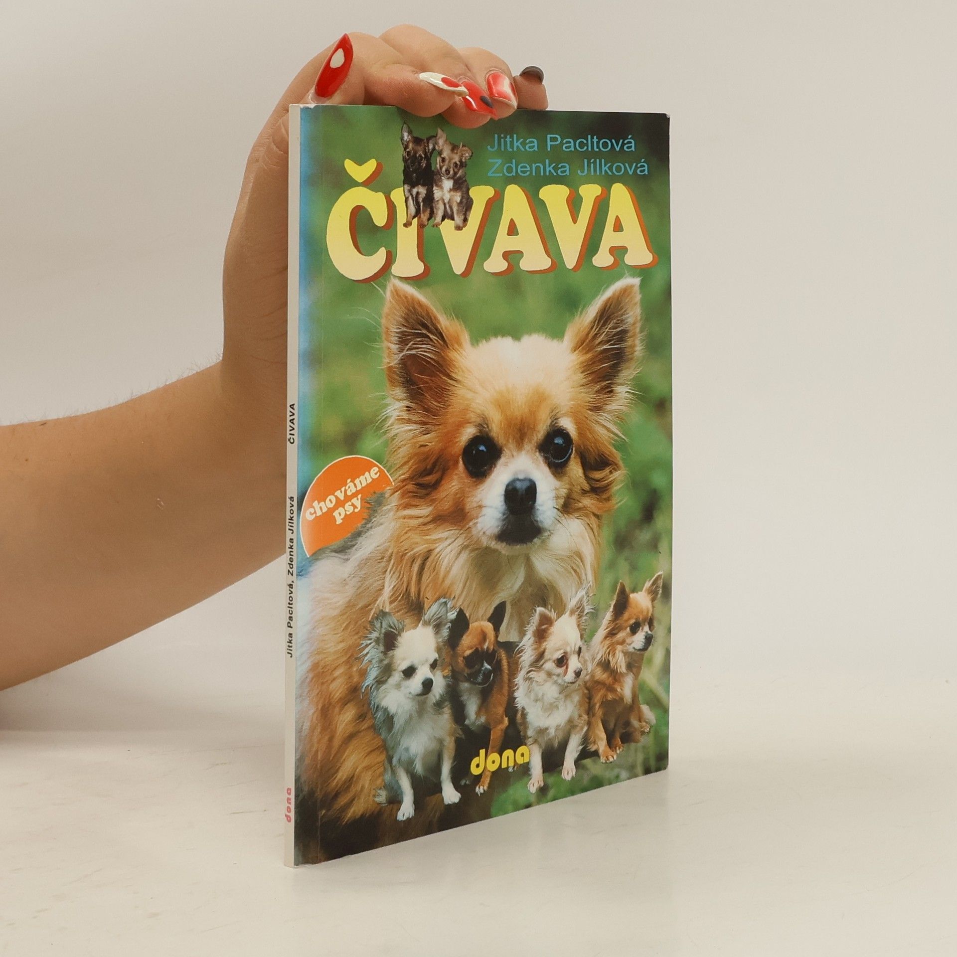 Jitka Pacltová Čivava
