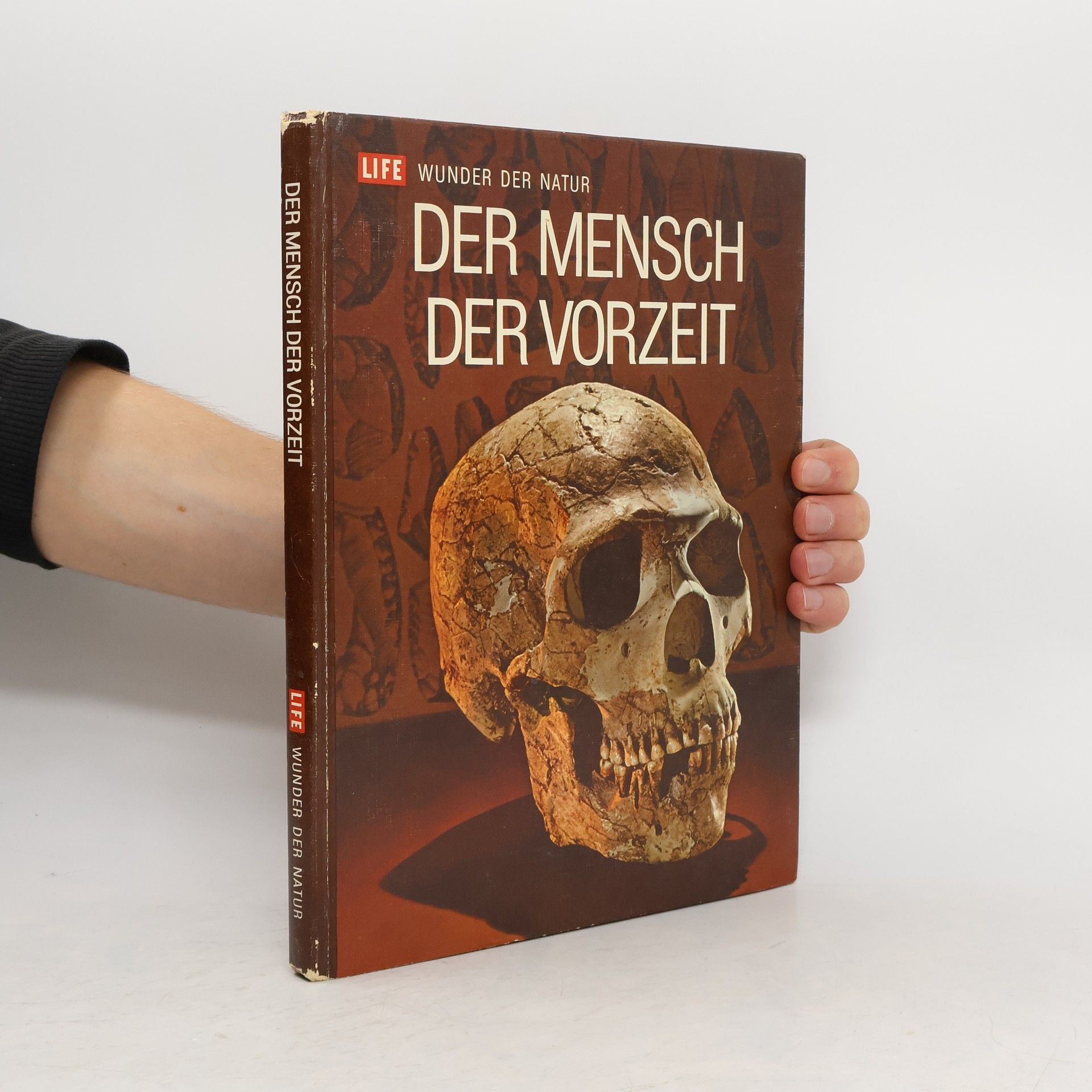 kolektiv Der Mensch der Vorzeit