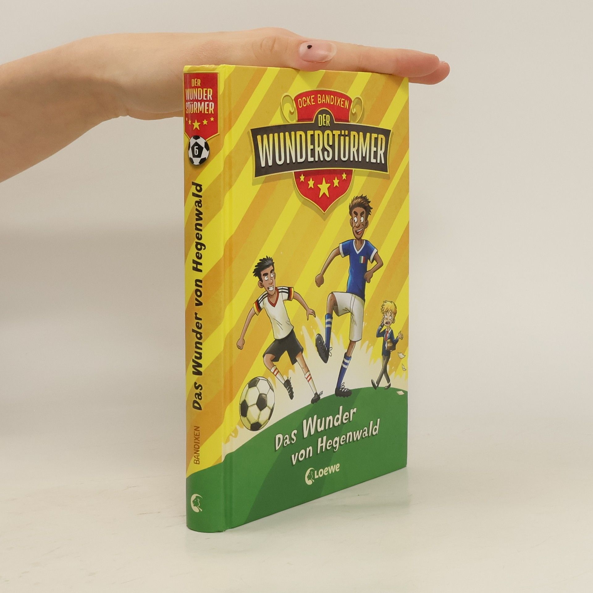 Ocke Bandixen Der Wunderstürmer (Band 6) - Das Wunder von Hegenwald