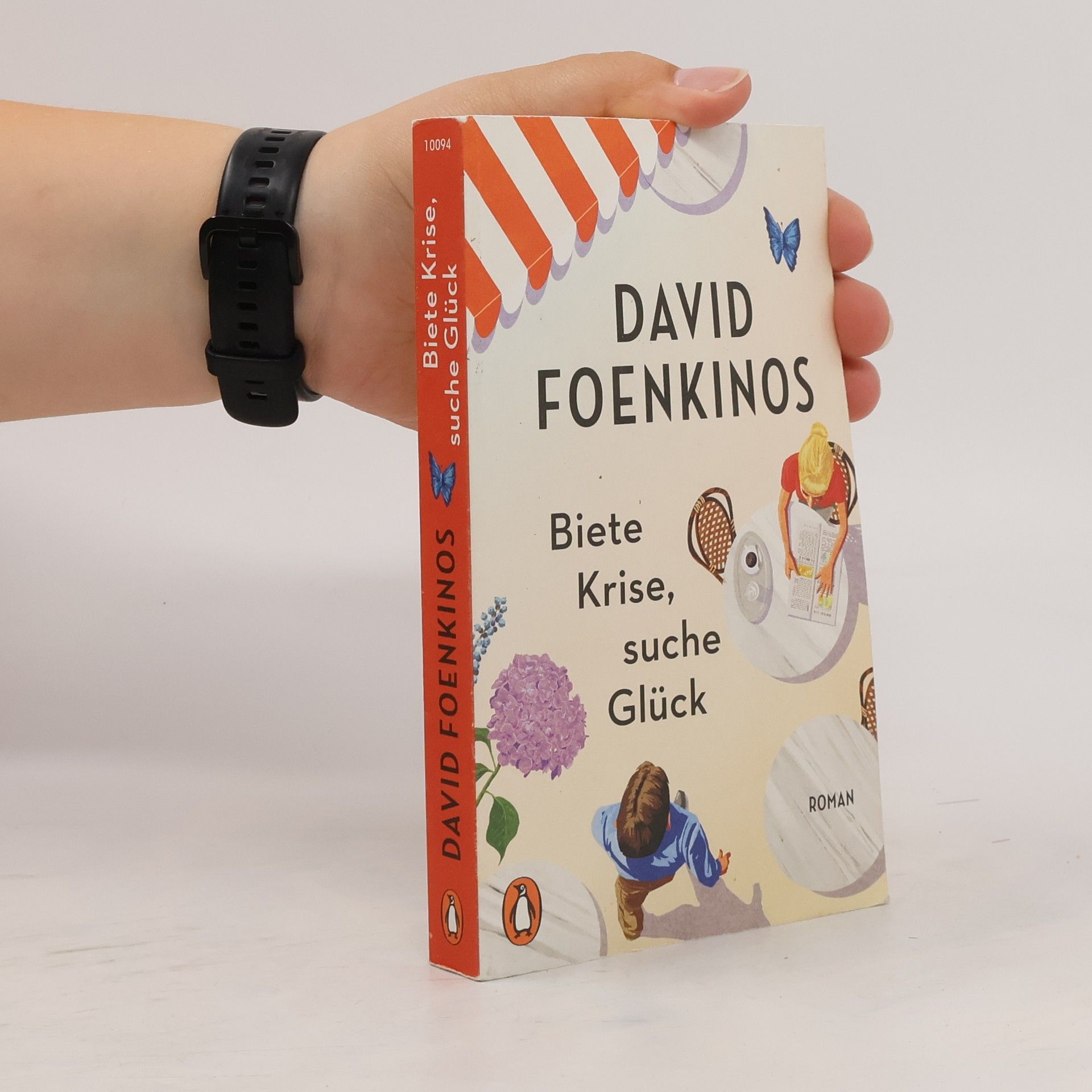 David Foenkinos Biete Krise, suche Glück