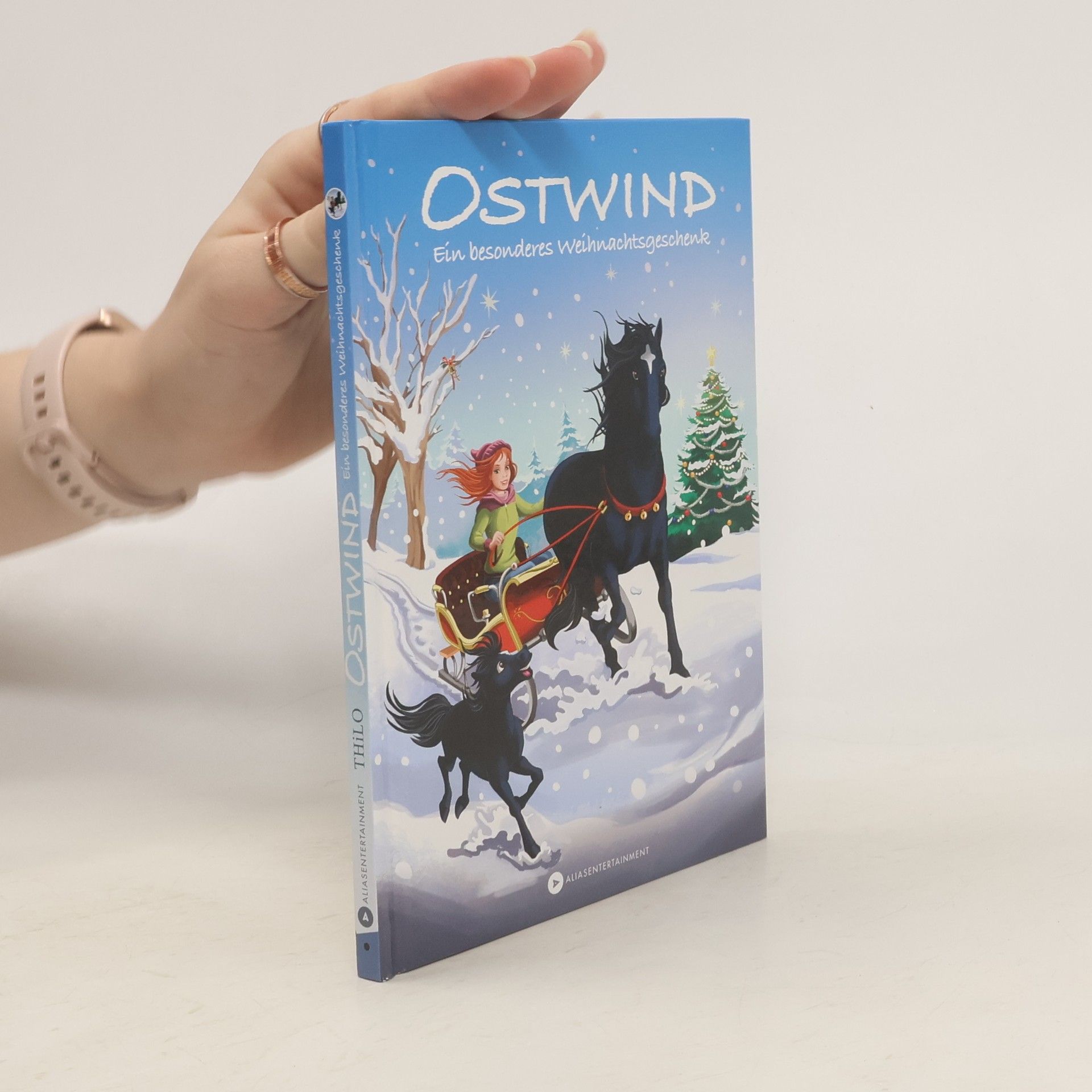 Thilo Petry-Lassak Ostwind - Ein besonderes Weihnachtsgeschenk
