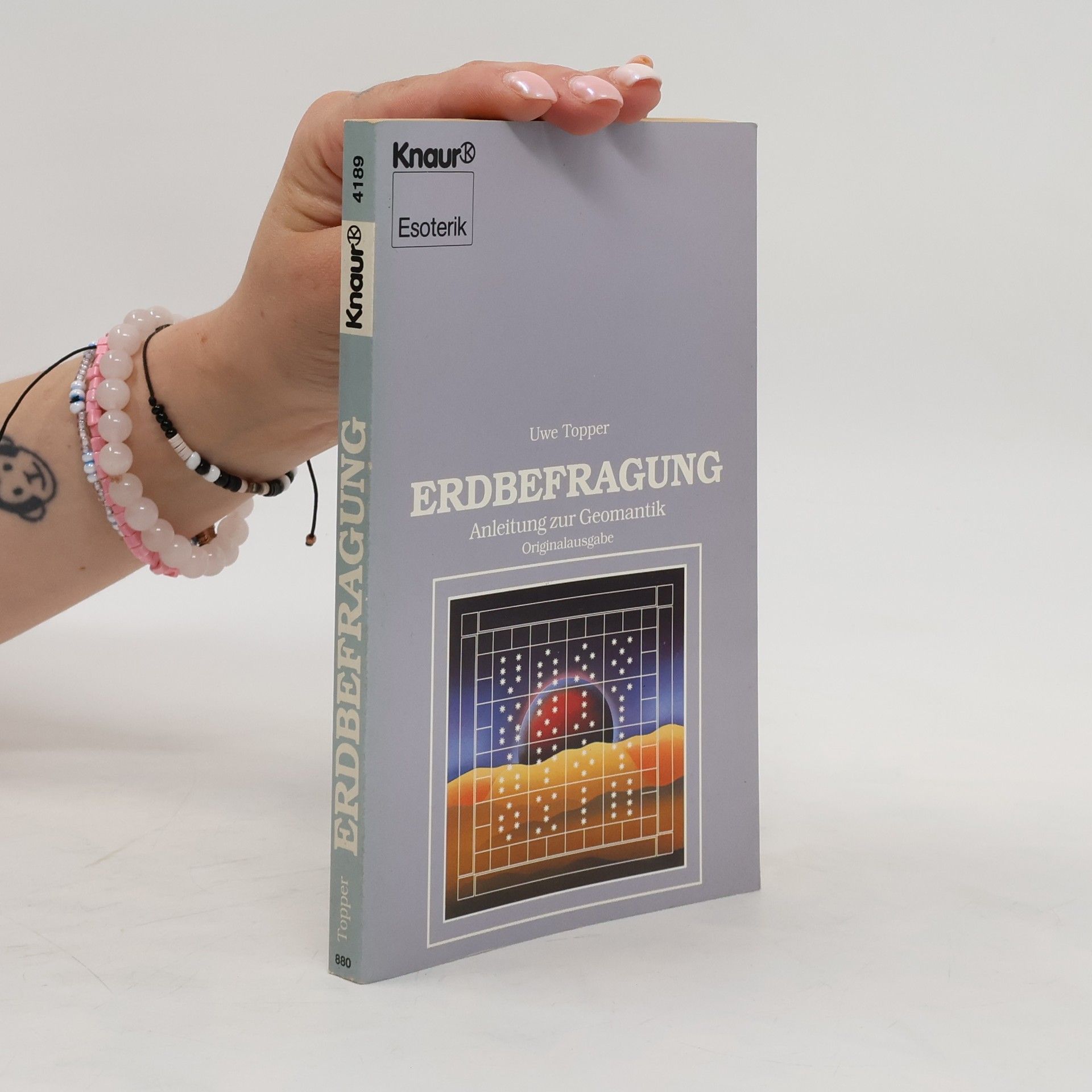 Uwe Topper Erdbefragung