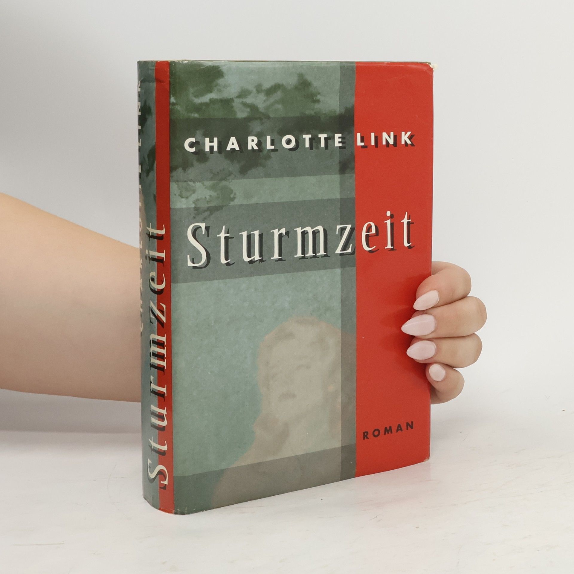 Charlotte Link Sturmzeit