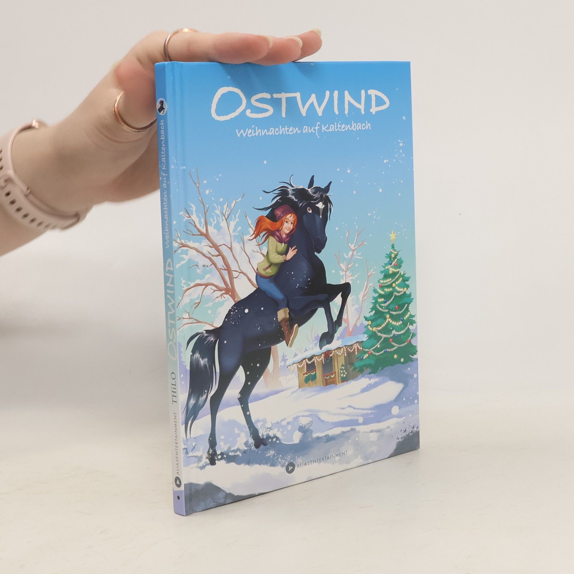 Thilo Petry-Lassak Ostwind - Weihnachten auf Kaltenbach
