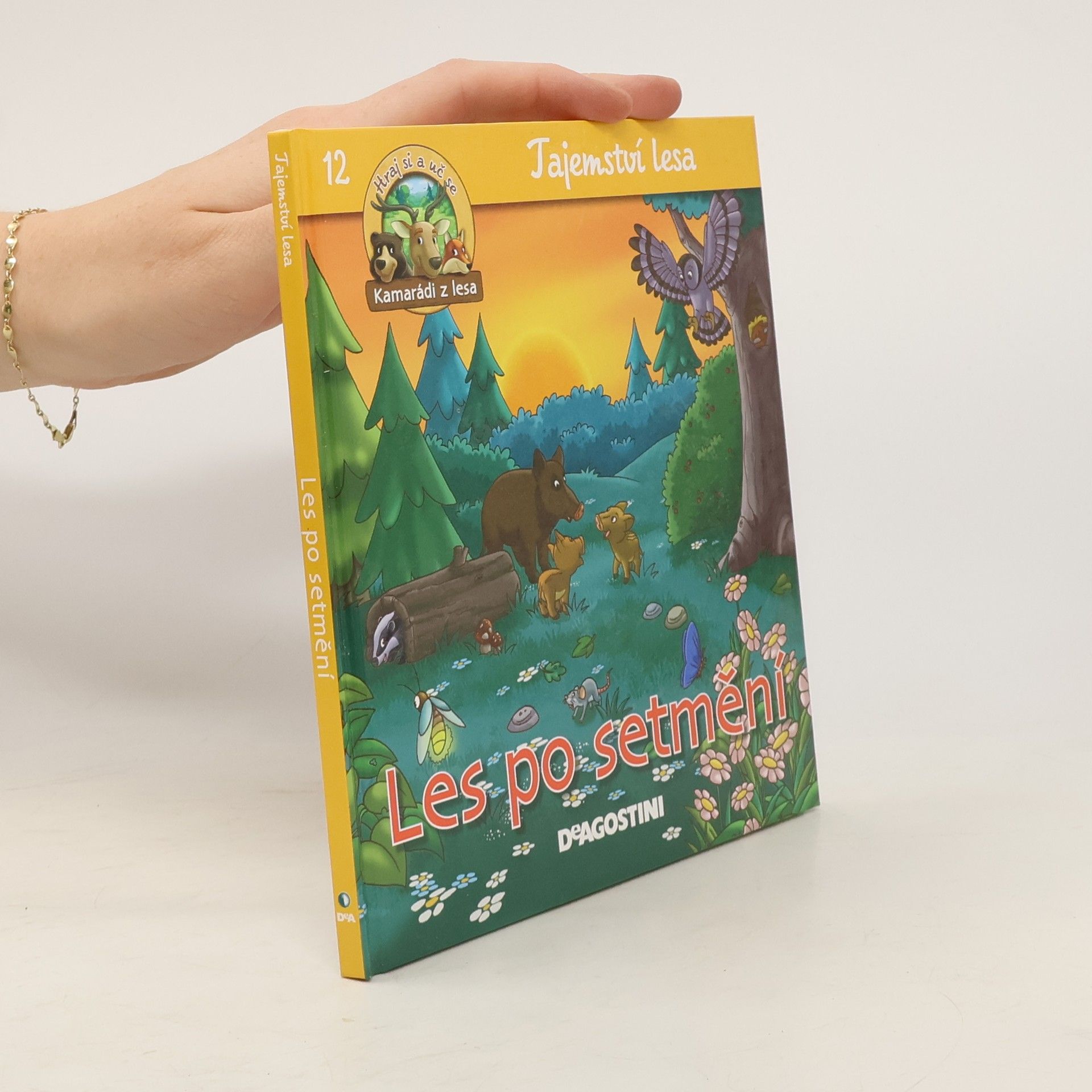 kolektiv Tajemství lesa 12. Les po setmění
