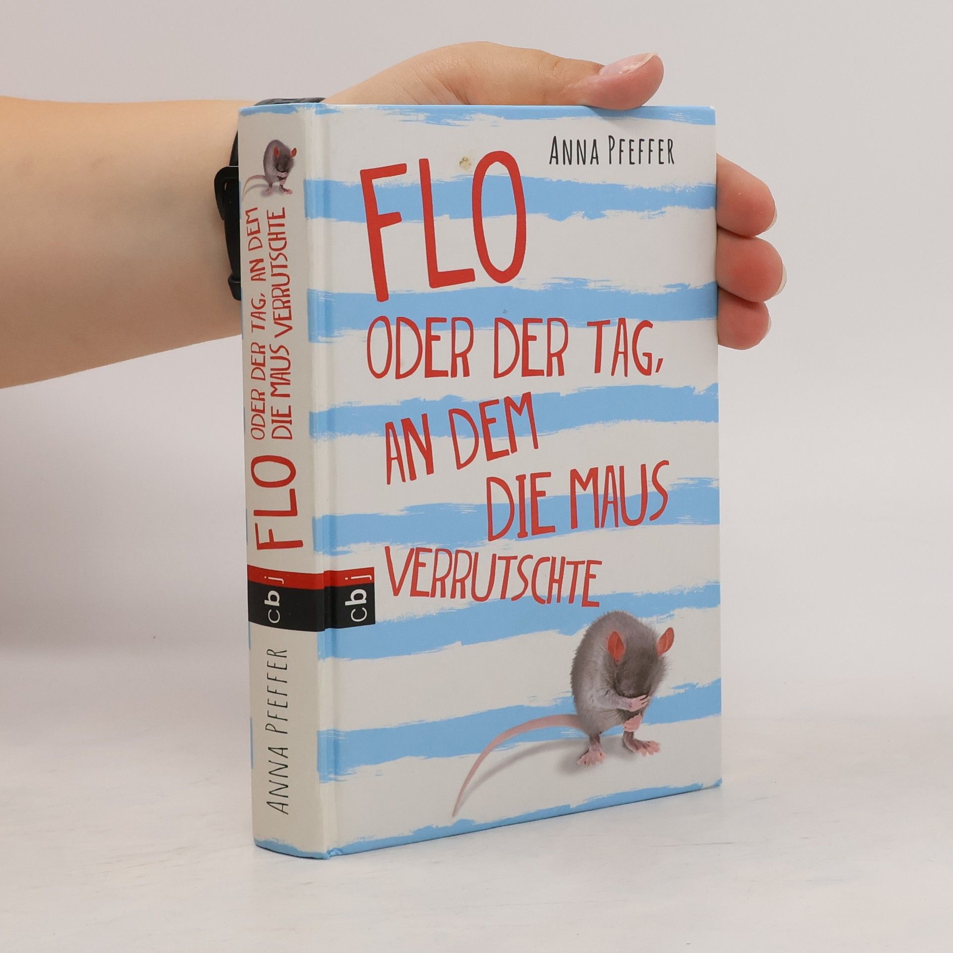 Anna Pfeffer Flo oder der Tag, an dem die Maus verrutschte