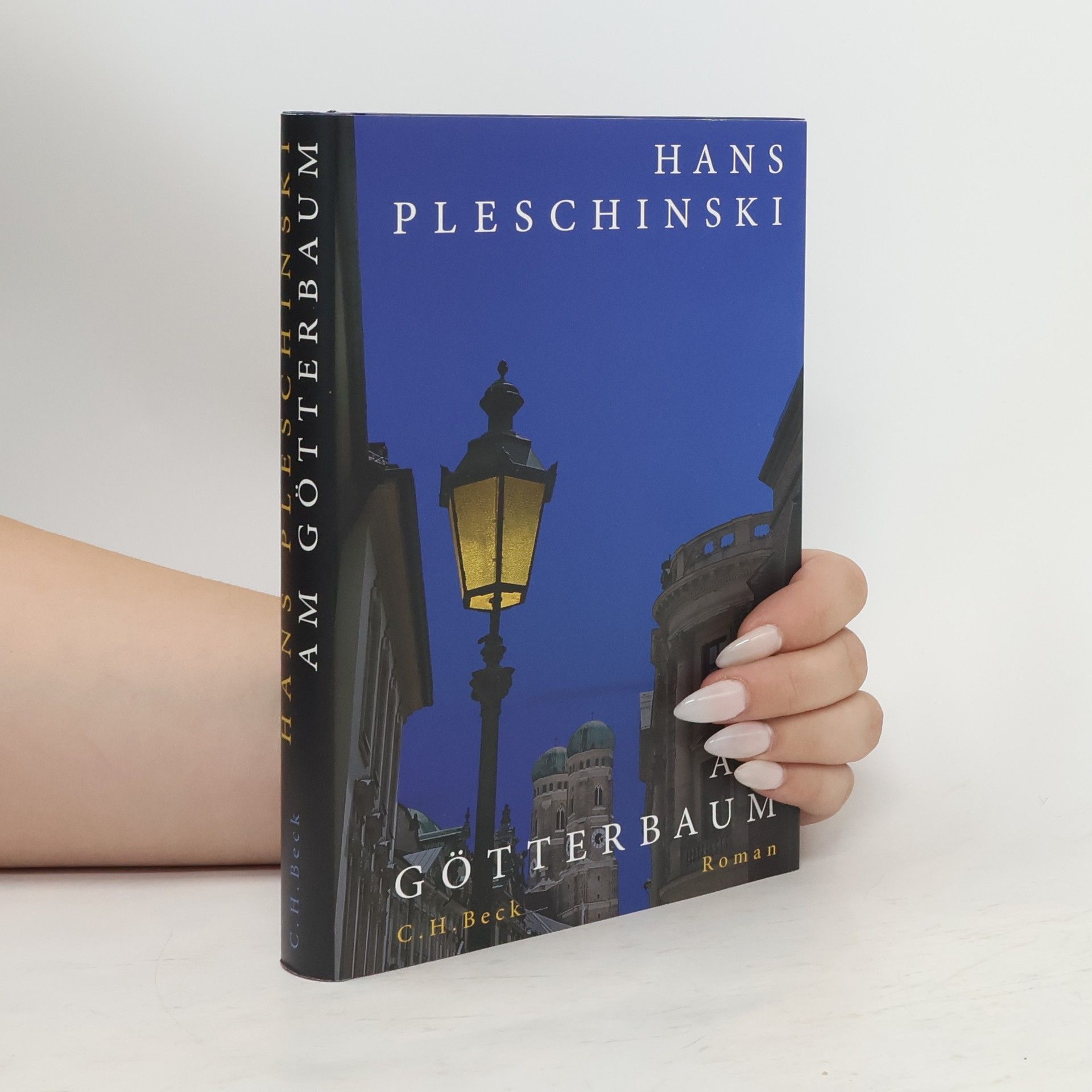 Hans Pleschinski Am Götterbaum