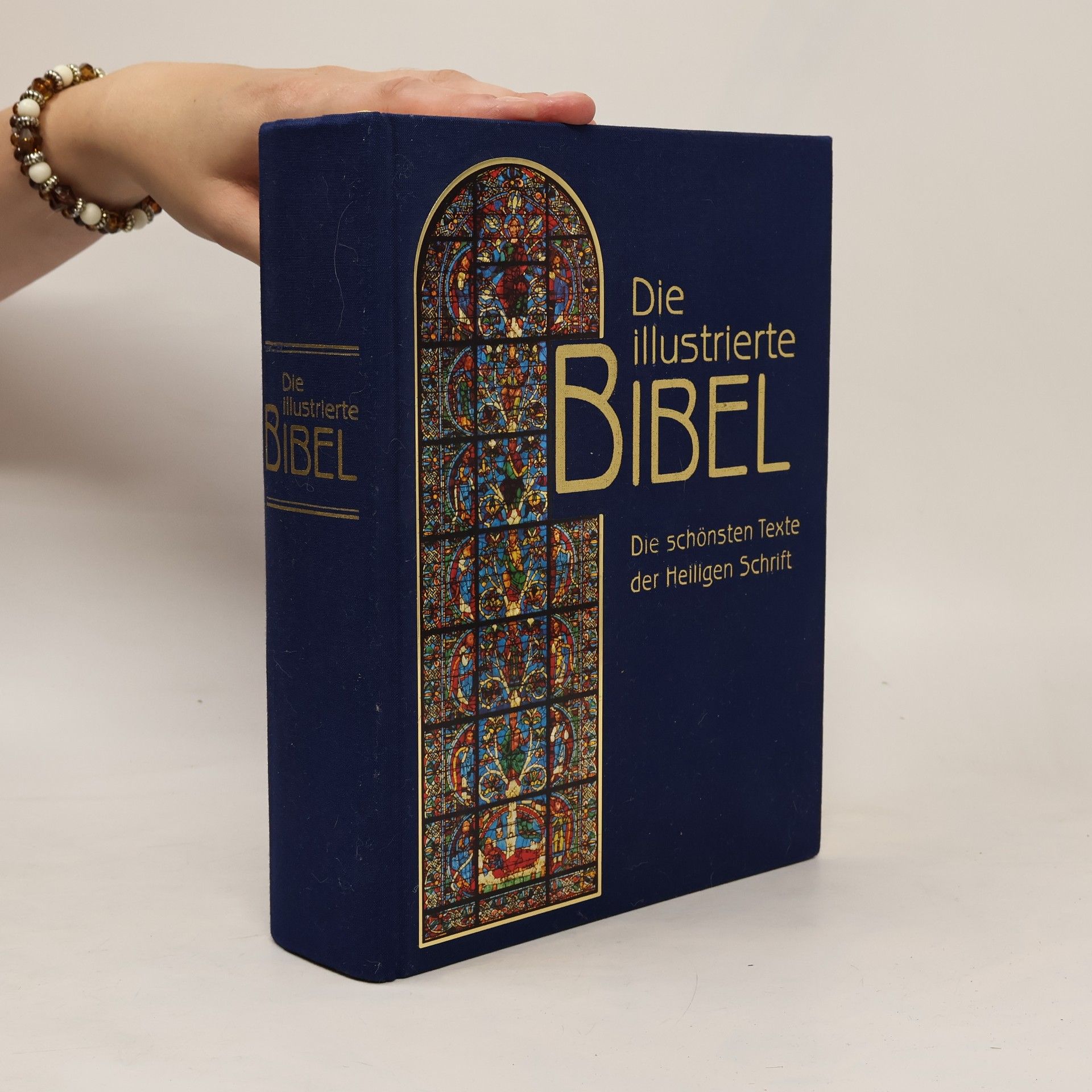 Falko Spiller Die illustrierte Bibel