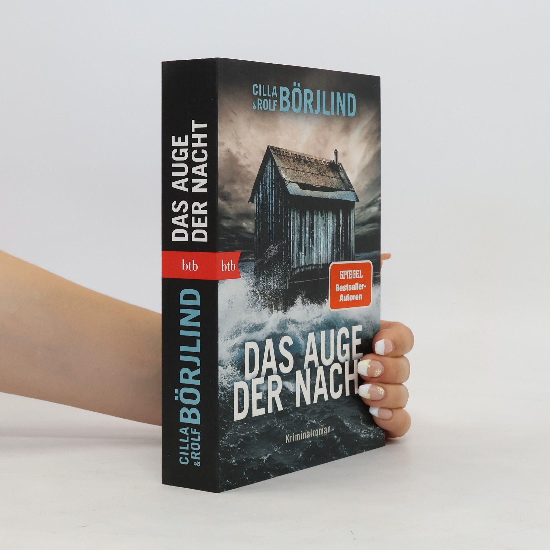 Rolf Börjlind Das Auge der Nacht
