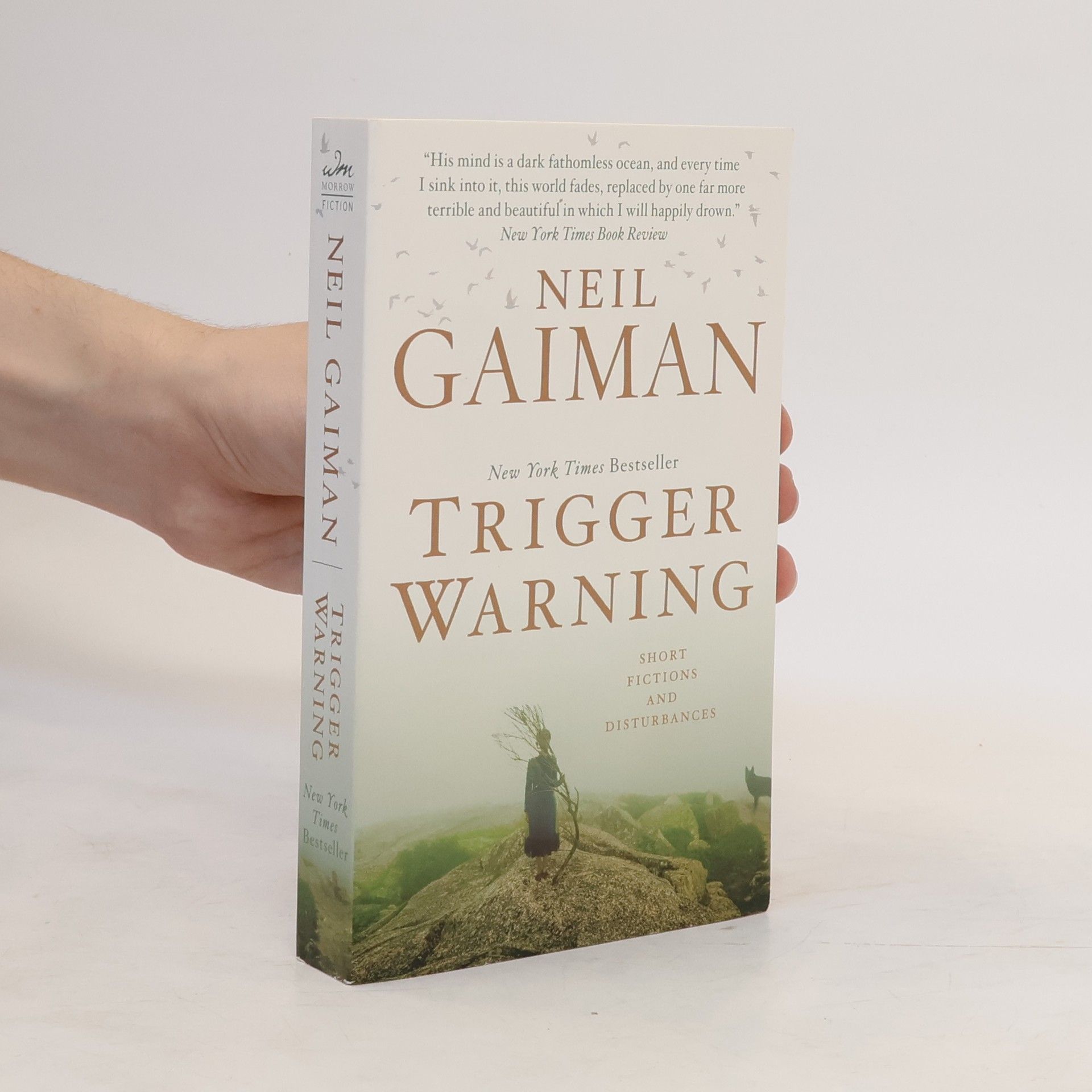 Neil Gaiman Trigger Warning