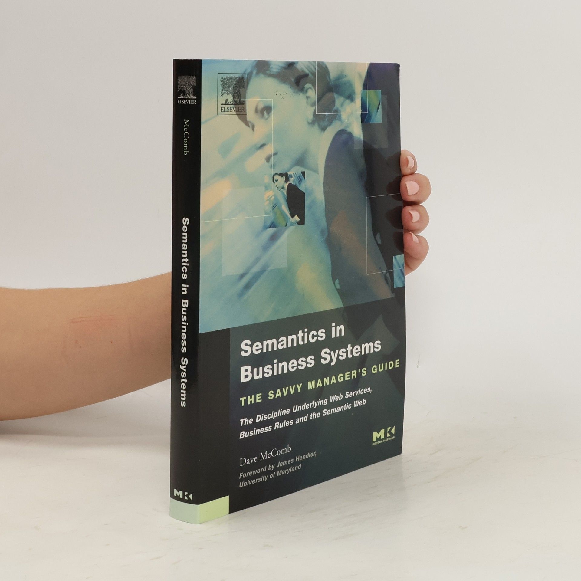 Dave McComb Semantics in Business Systems