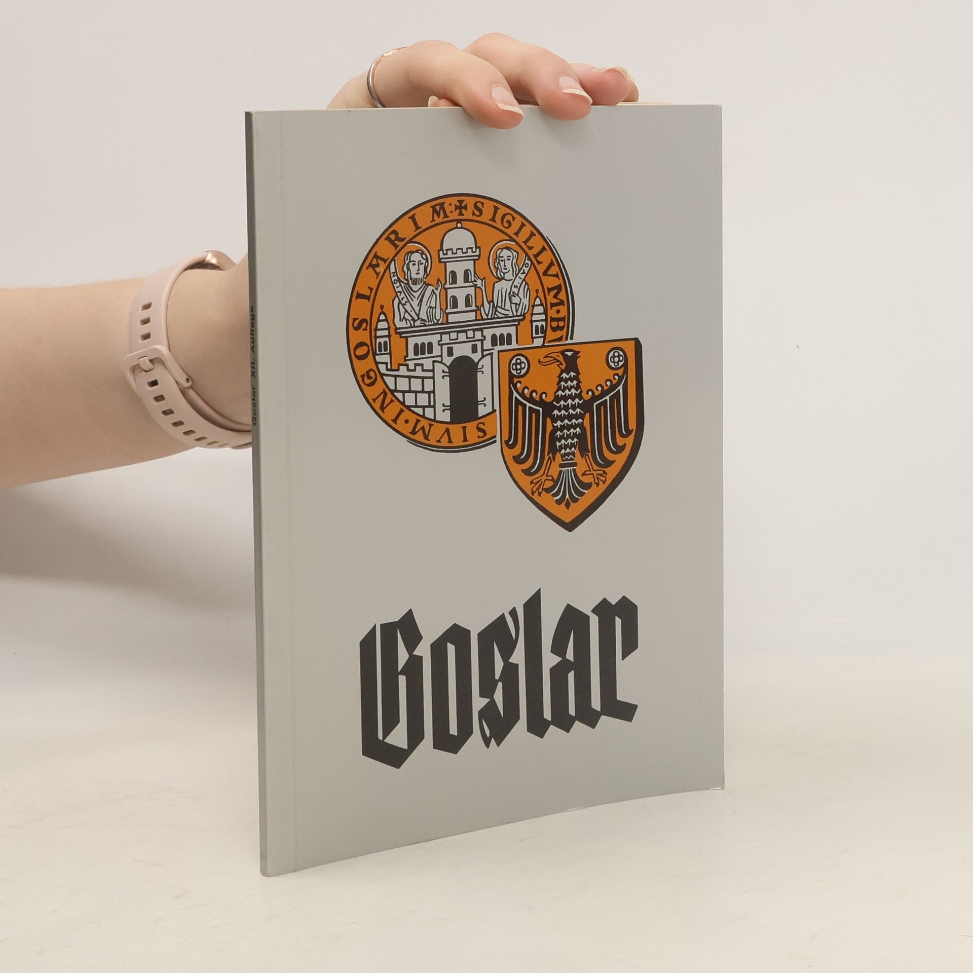 Autorenkollektiv Goslar. Geschichte, Kunst und Kultur, Wirtschaft