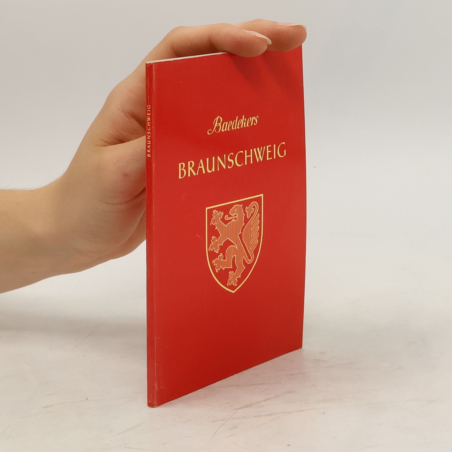 Kurzer Stadtführer Braunschweig