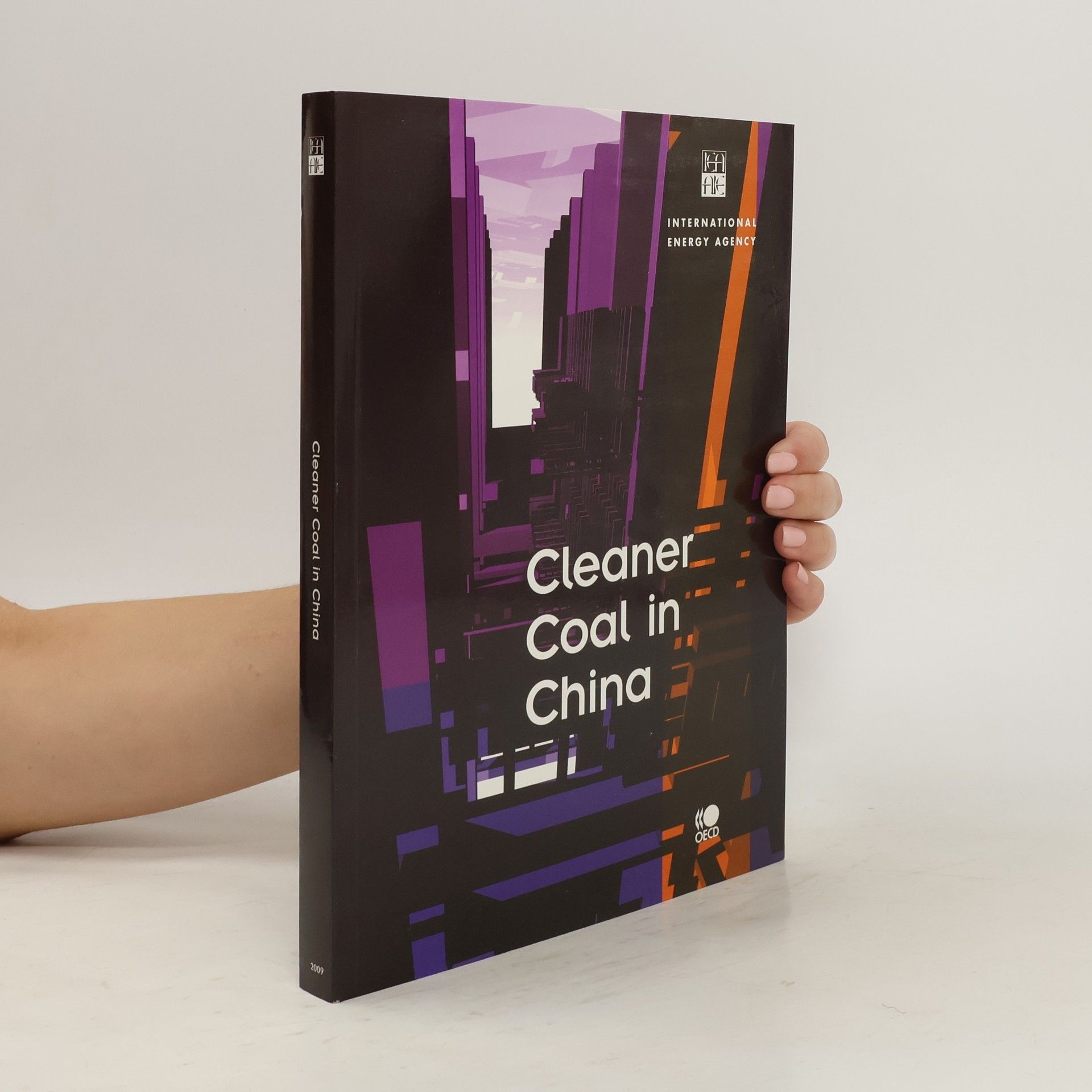 Collective Cleaner Coal in China