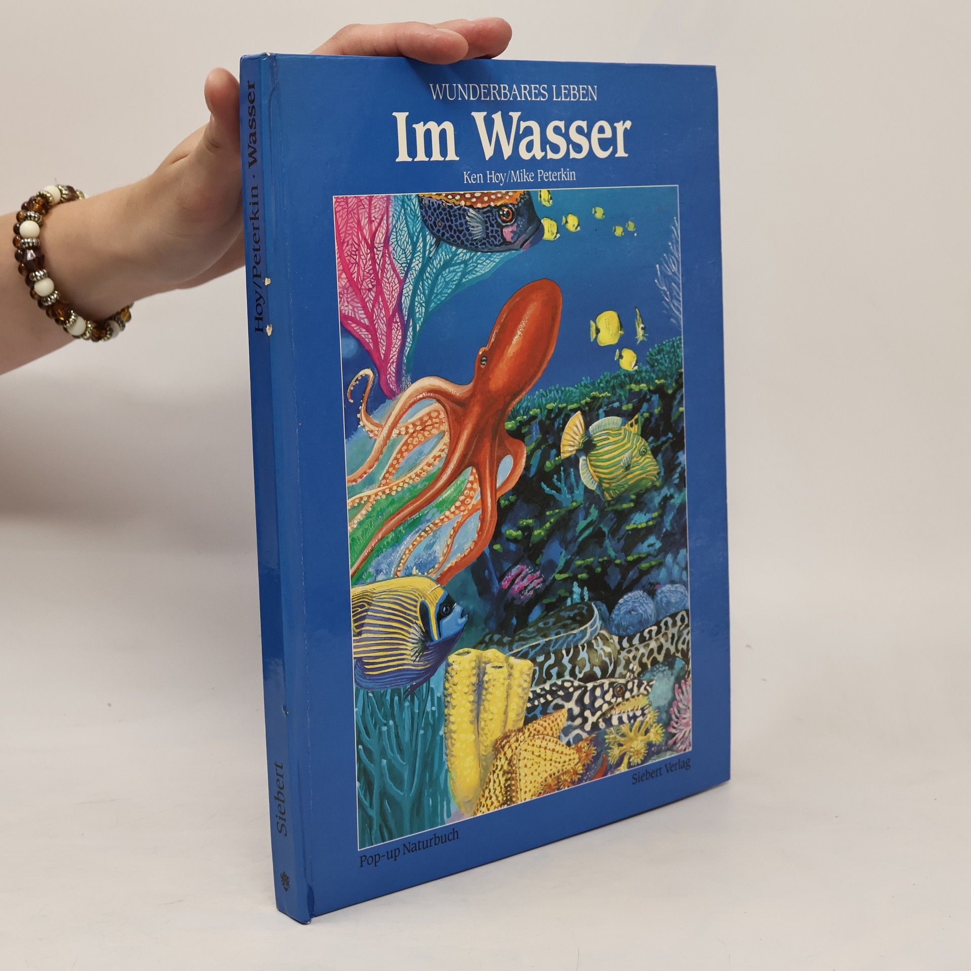 Ken Hoy Im Wasser