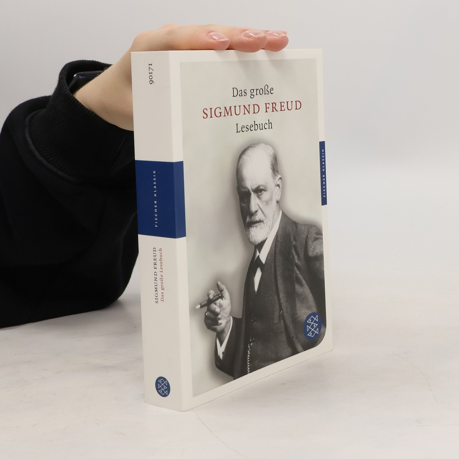 Sigmund Freud Das große Lesebuch