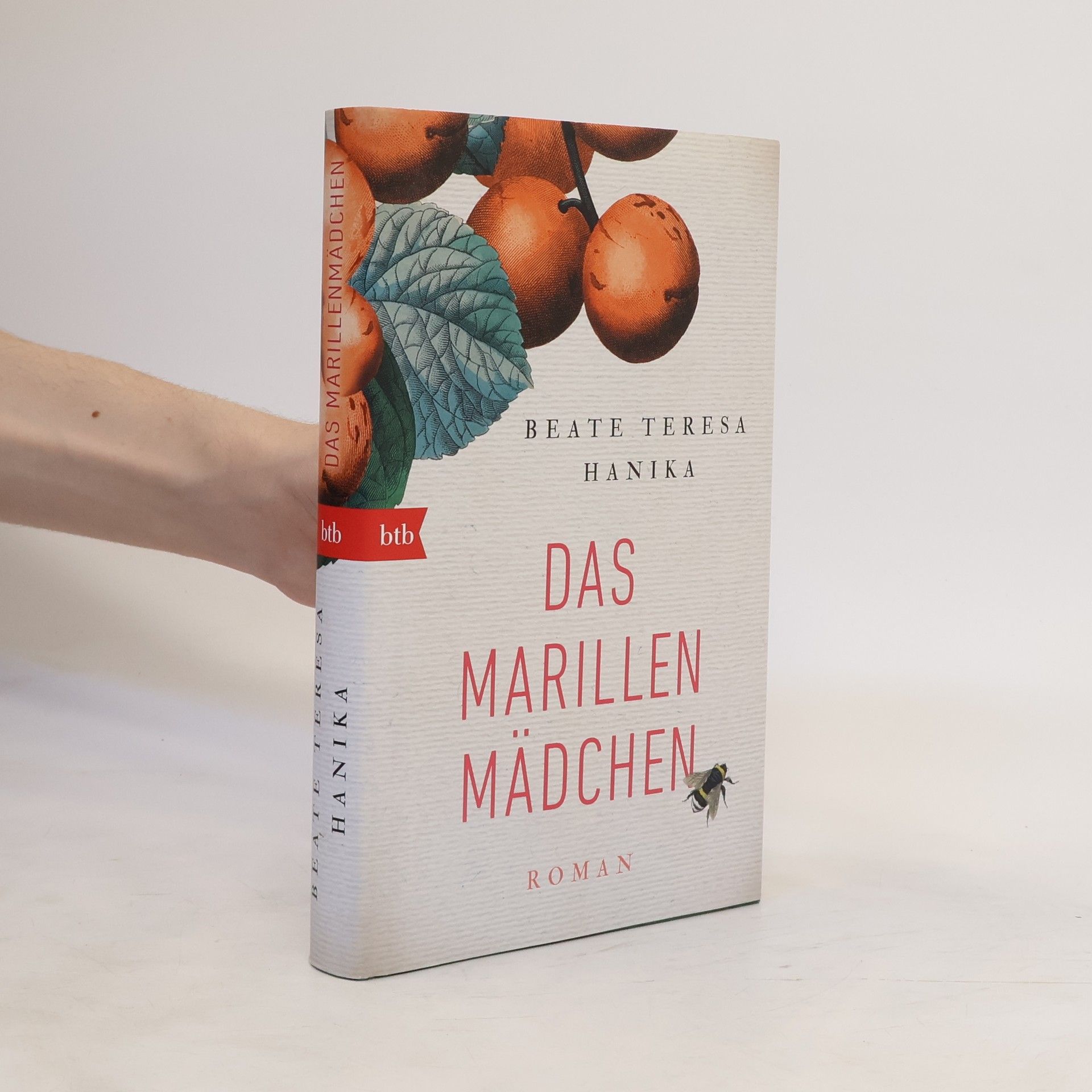 Beate Teresa Hanika Das Marillenmädchen