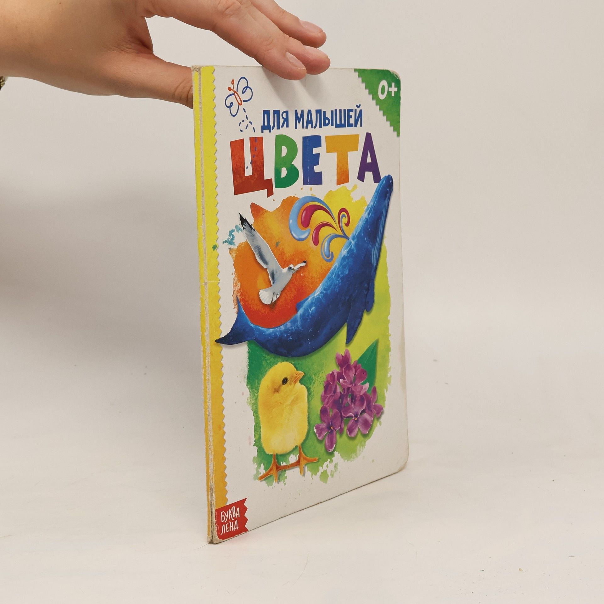 Соколова Юлия Цвета для малышей