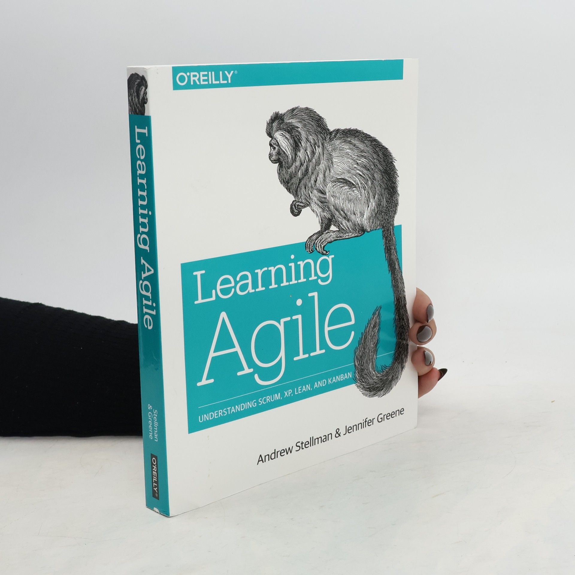 Andrew Stellman Learning Agile
