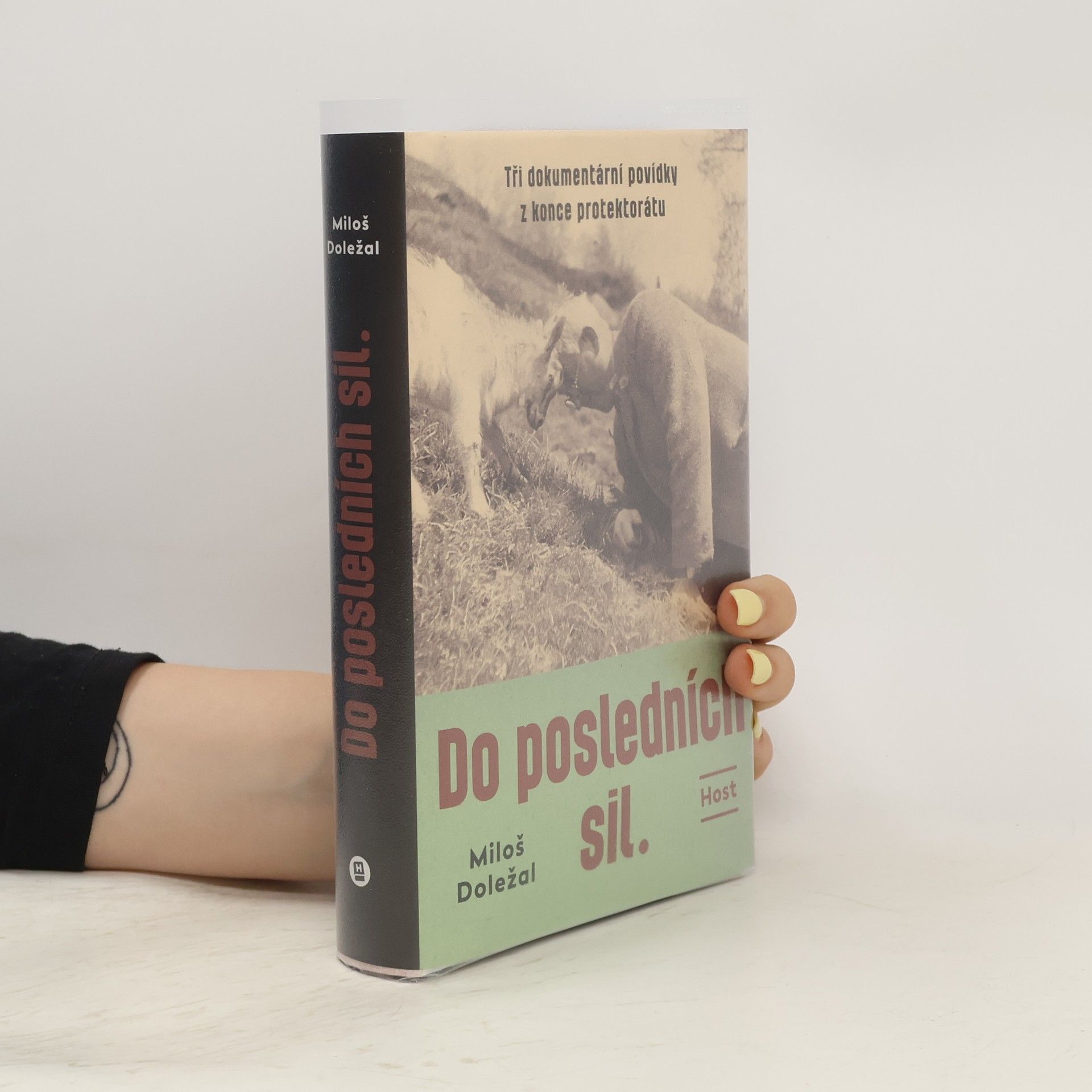 Miloš Doležal Do posledních sil : tři dokumentární povídky z konce protektorátu