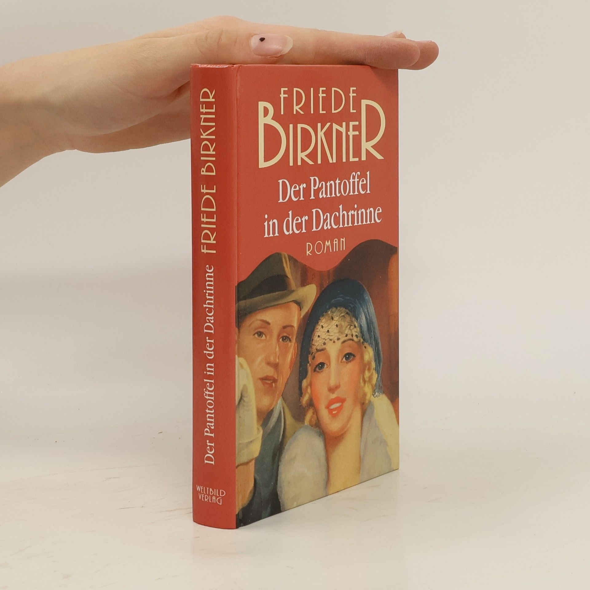 Frieda Birkner Mahler Der Pantoffel in der Dachrinne