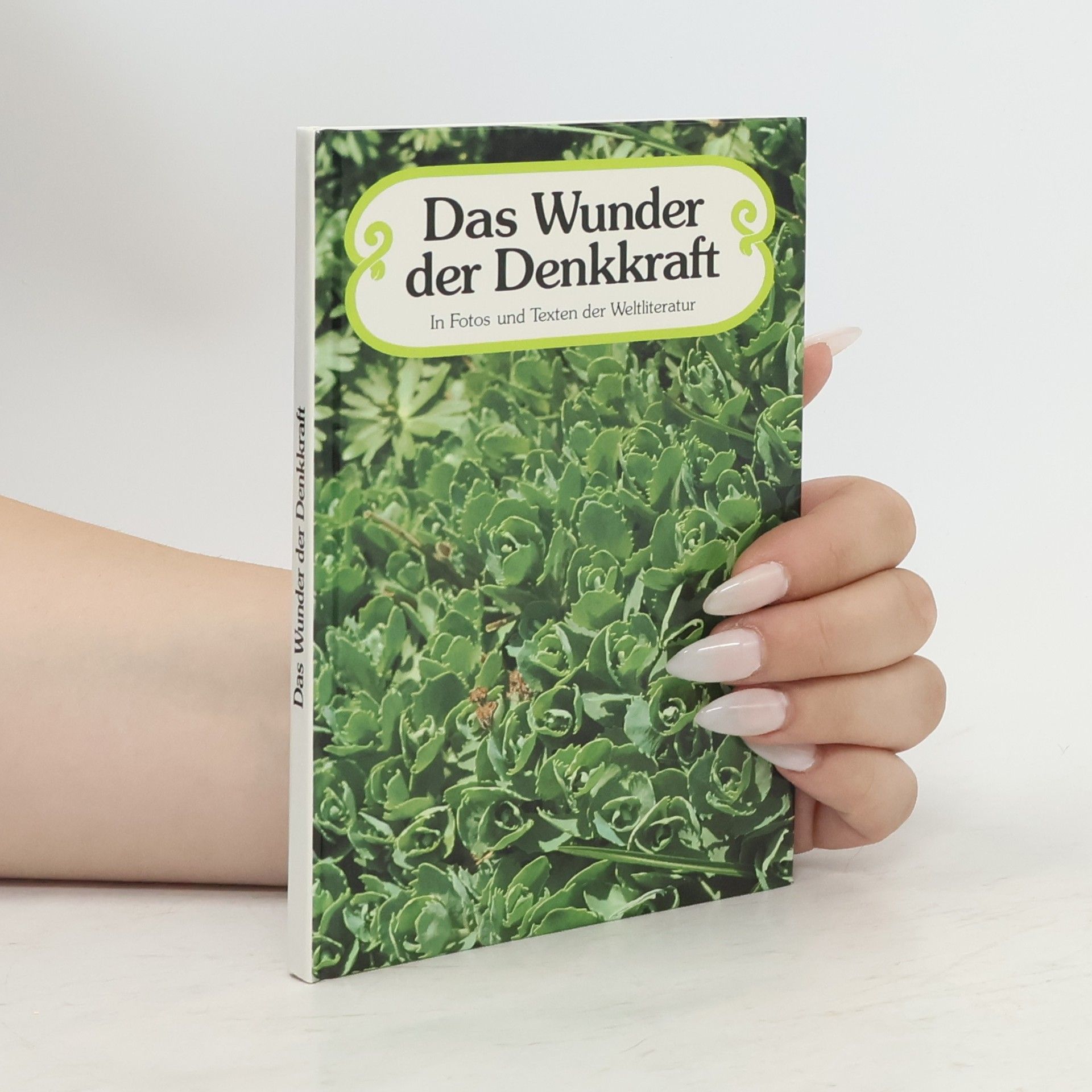 Autorenkollektiv Das Wunder der Denkkraft