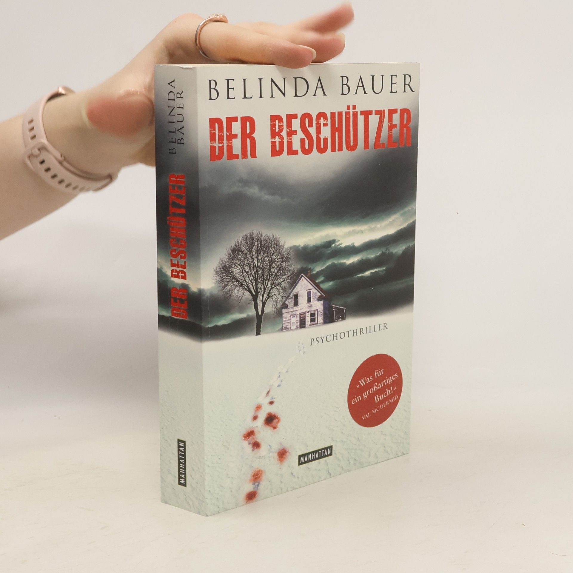 Belinda Bauer Der Beschützer