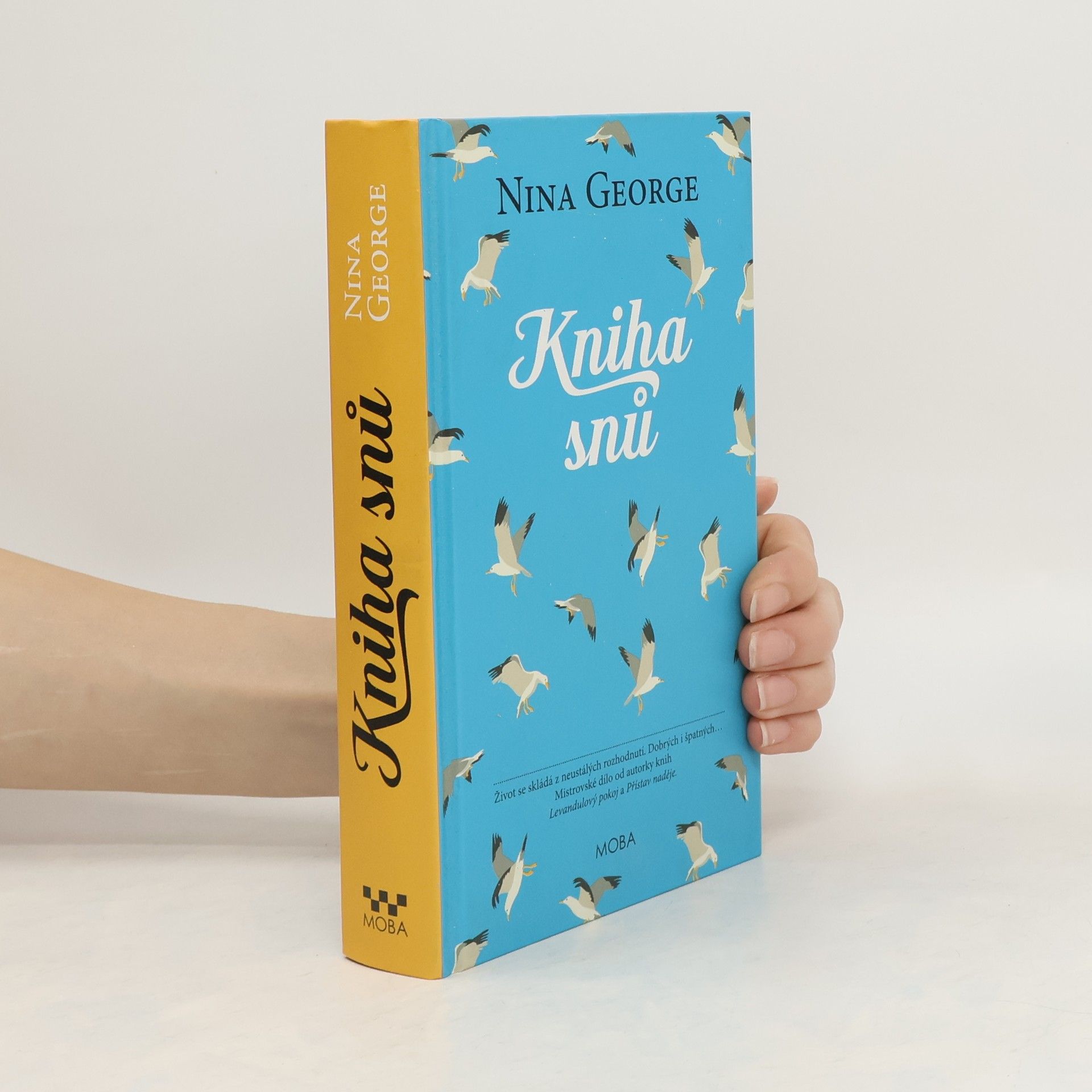 Nina George Kniha snů