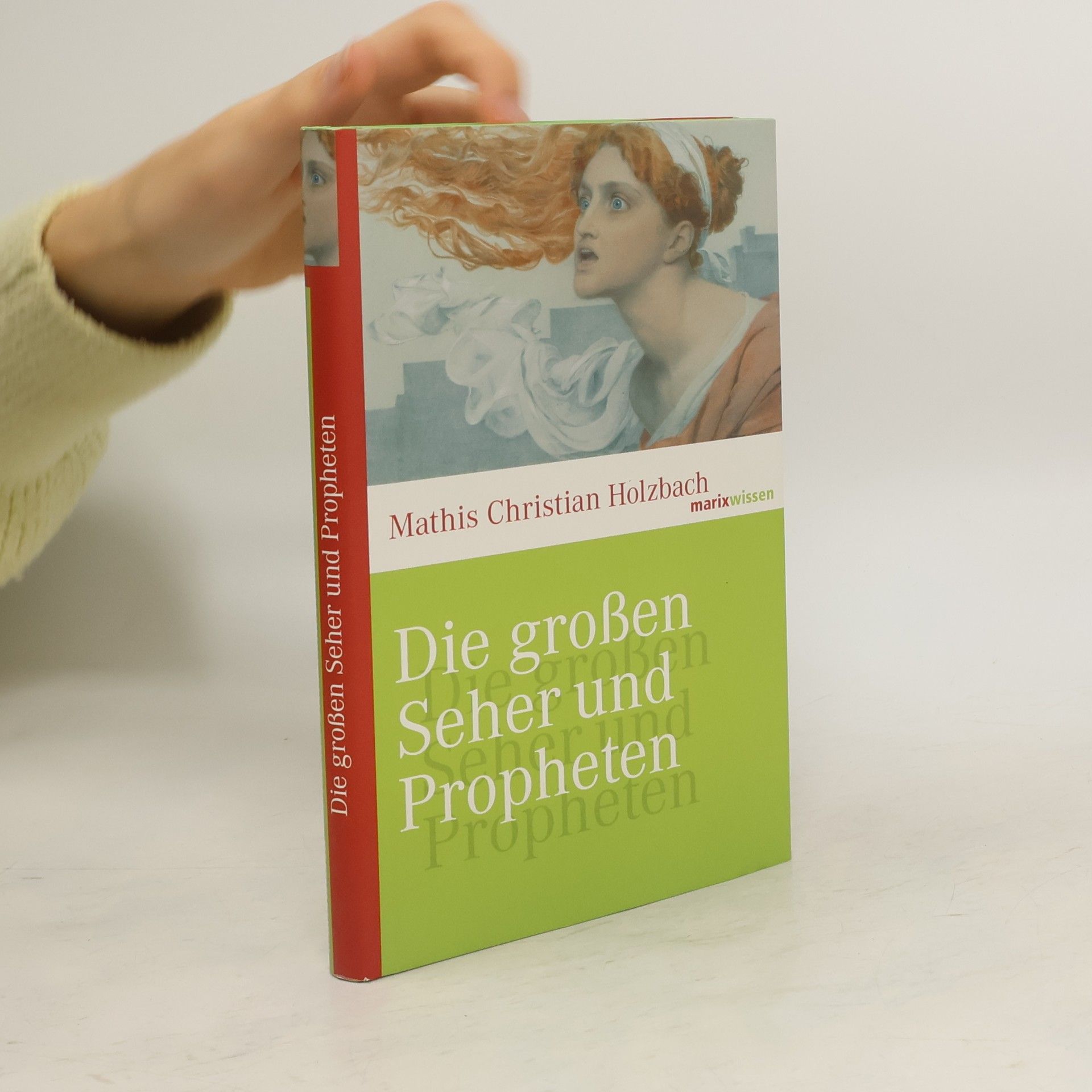 Mathis Christian Holzbach Die großen Seher und Propheten