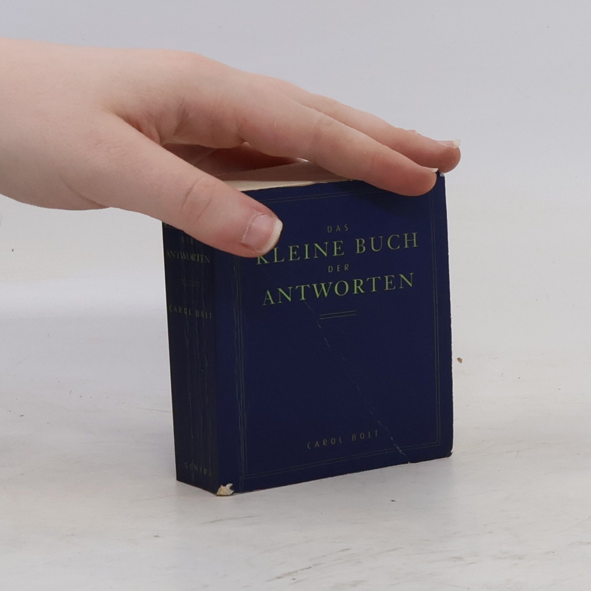 Carol Bolt Das kleine Buch der Antworten