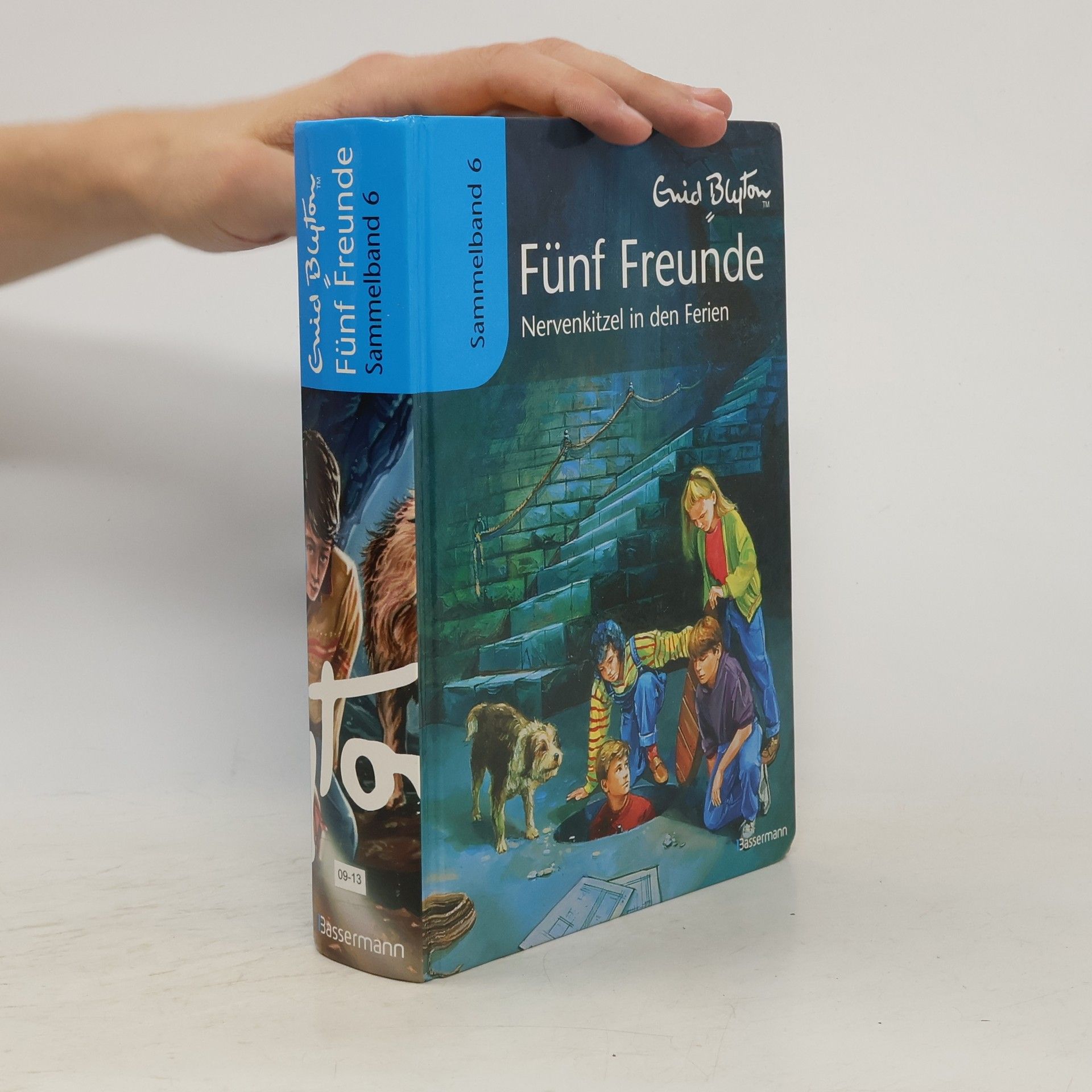 Marita Moshammer-Lohrer Fünf Freunde