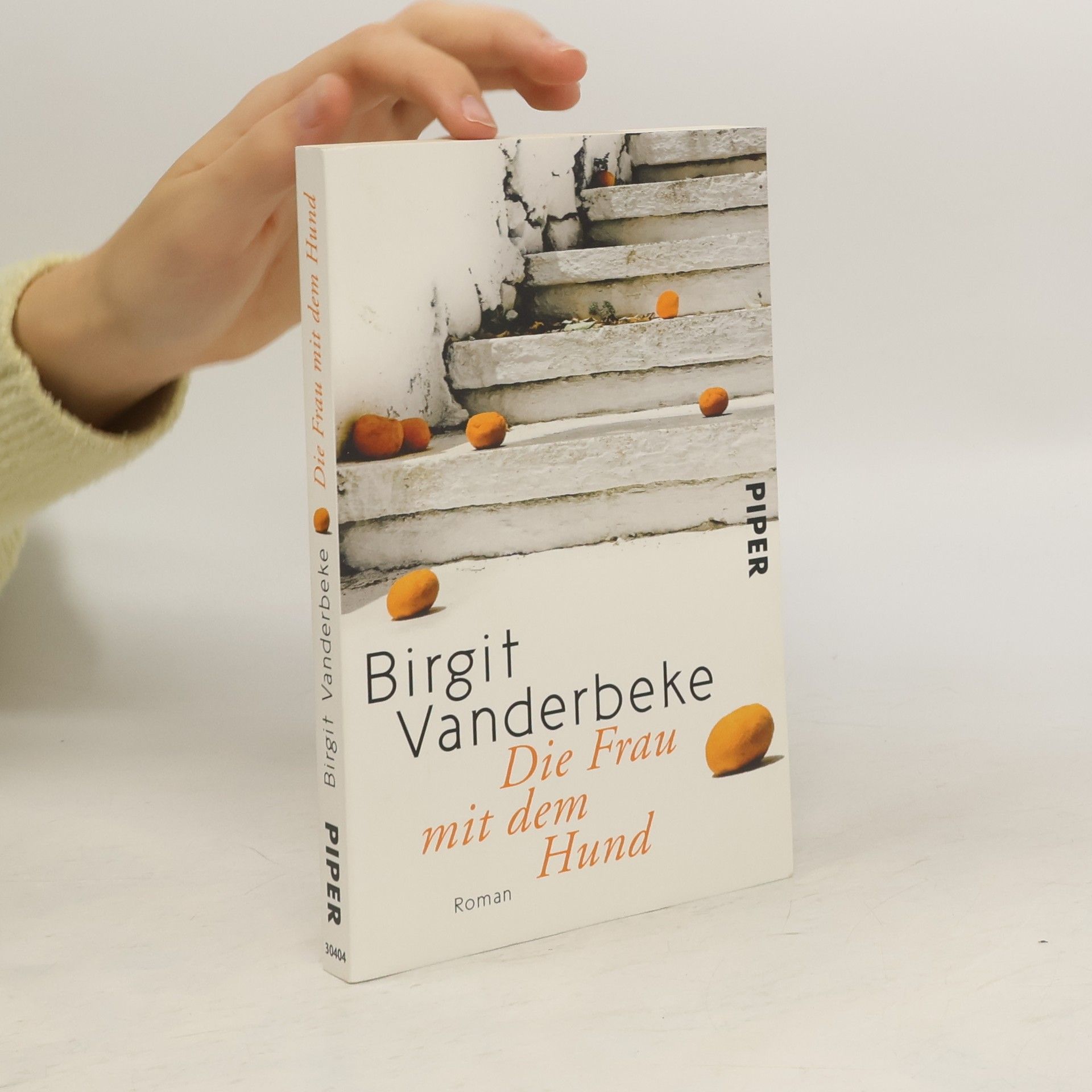 Birgit Vanderbeke Die Frau mit dem Hund