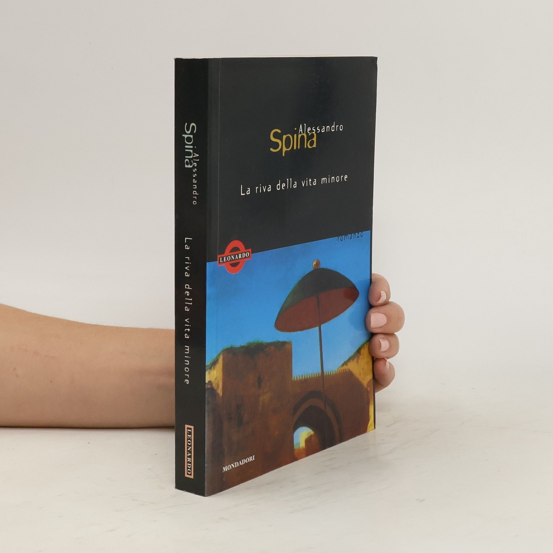 Alessandro Spina La riva della vita minore
