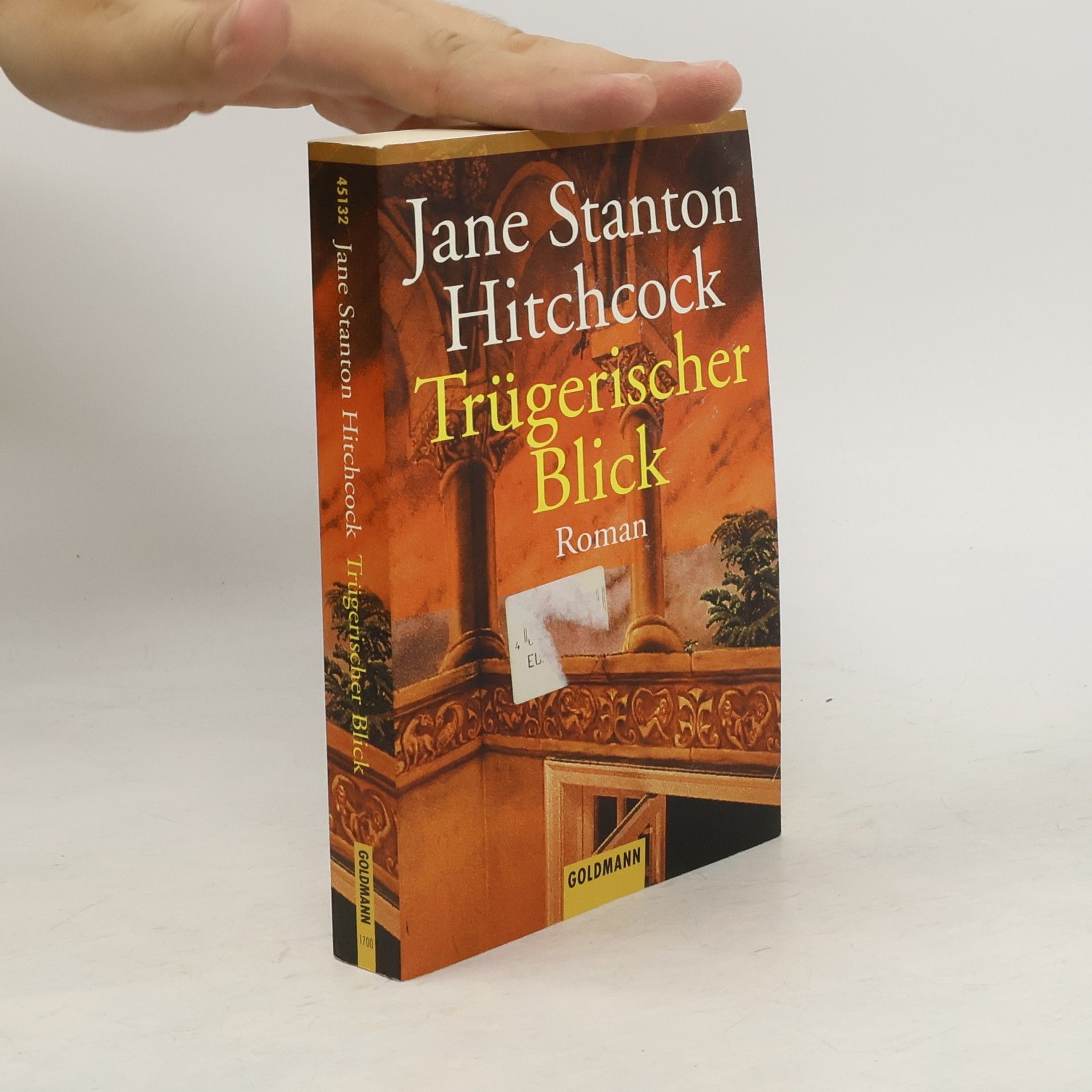 Jane Stanton Hitchcock Trügerischer Blick