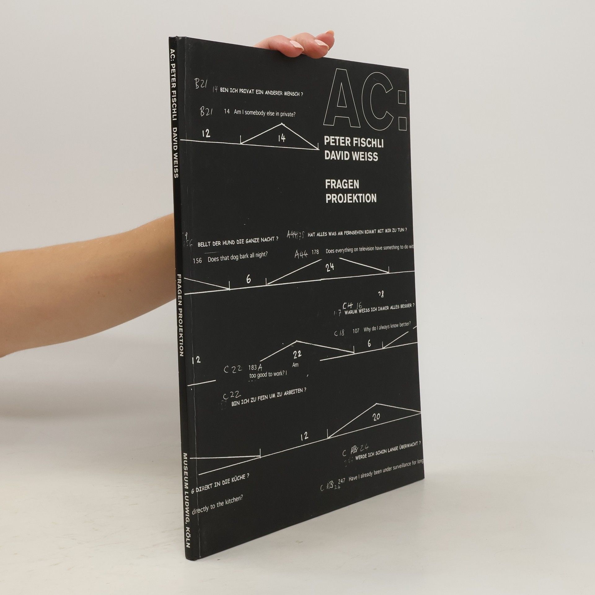 Marjorie Jongbloed AC: Peter Fischli, David Weiss - Fragen-Projektion
