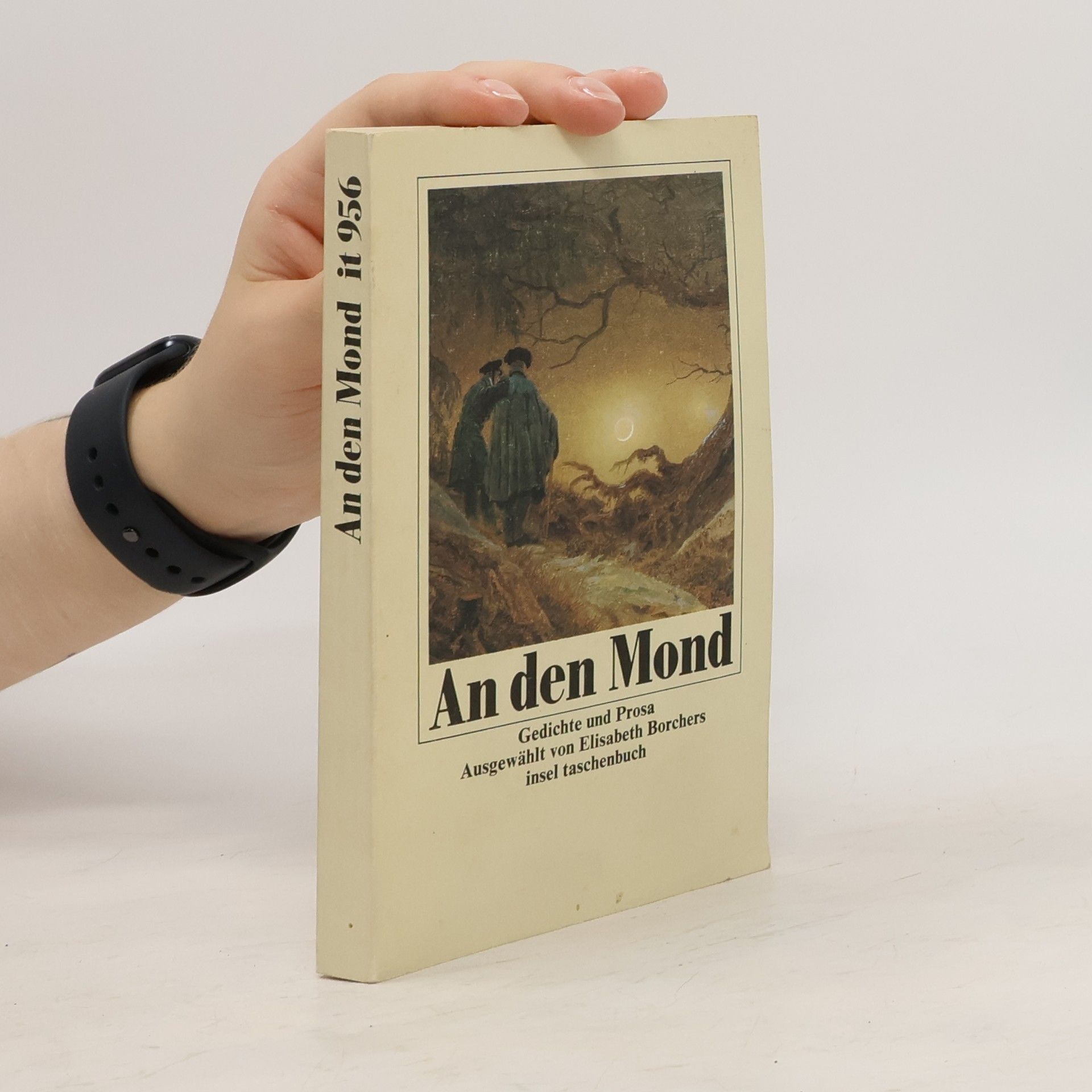Elisabeth Borchers An den Mond