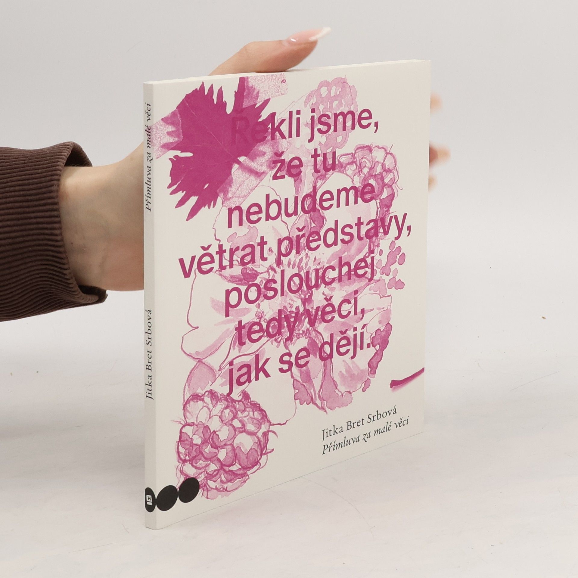Jitka Srbová Přímluva za malé věci