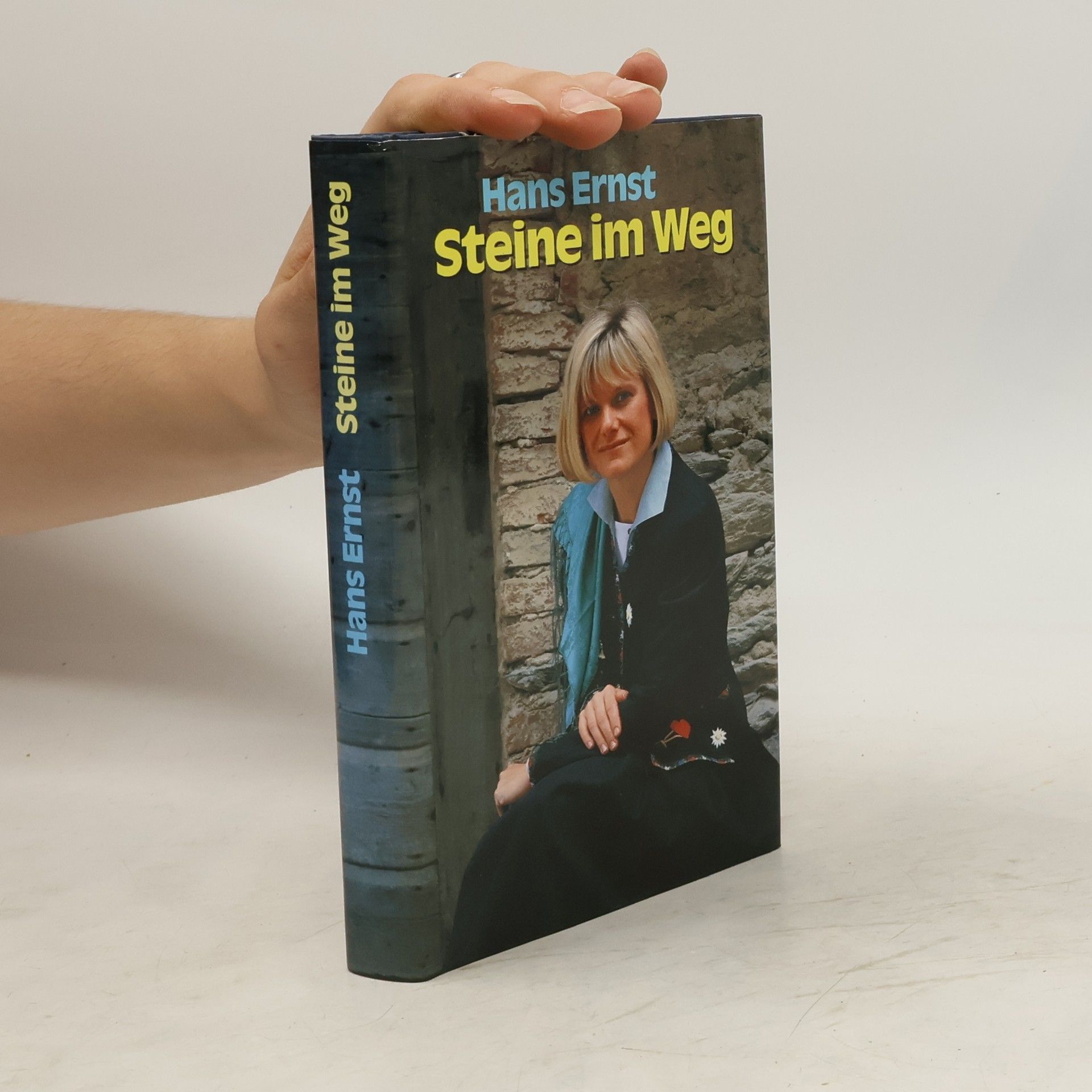 Hans Ernst Steine im Weg
