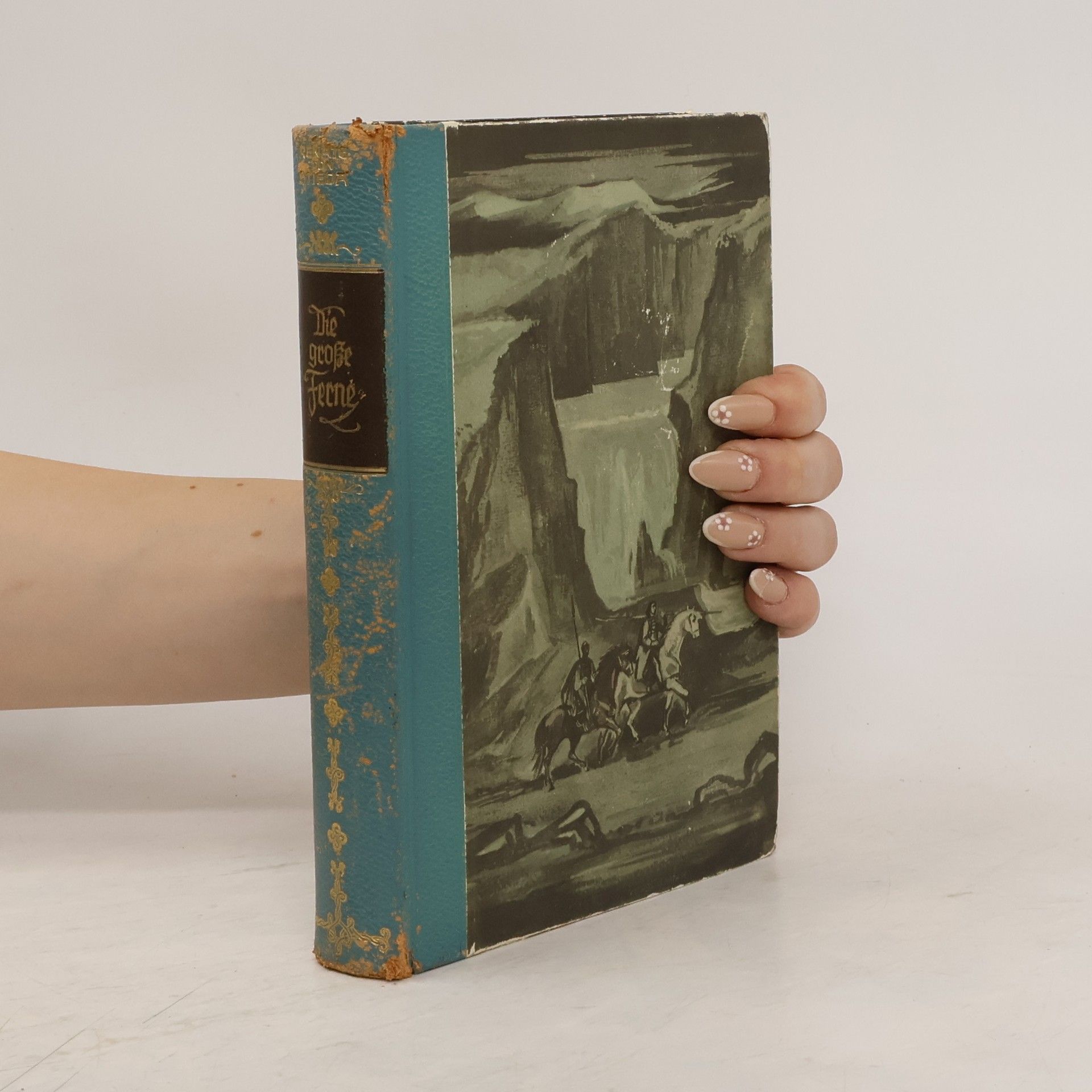 Renate von Stieda Die große Ferne