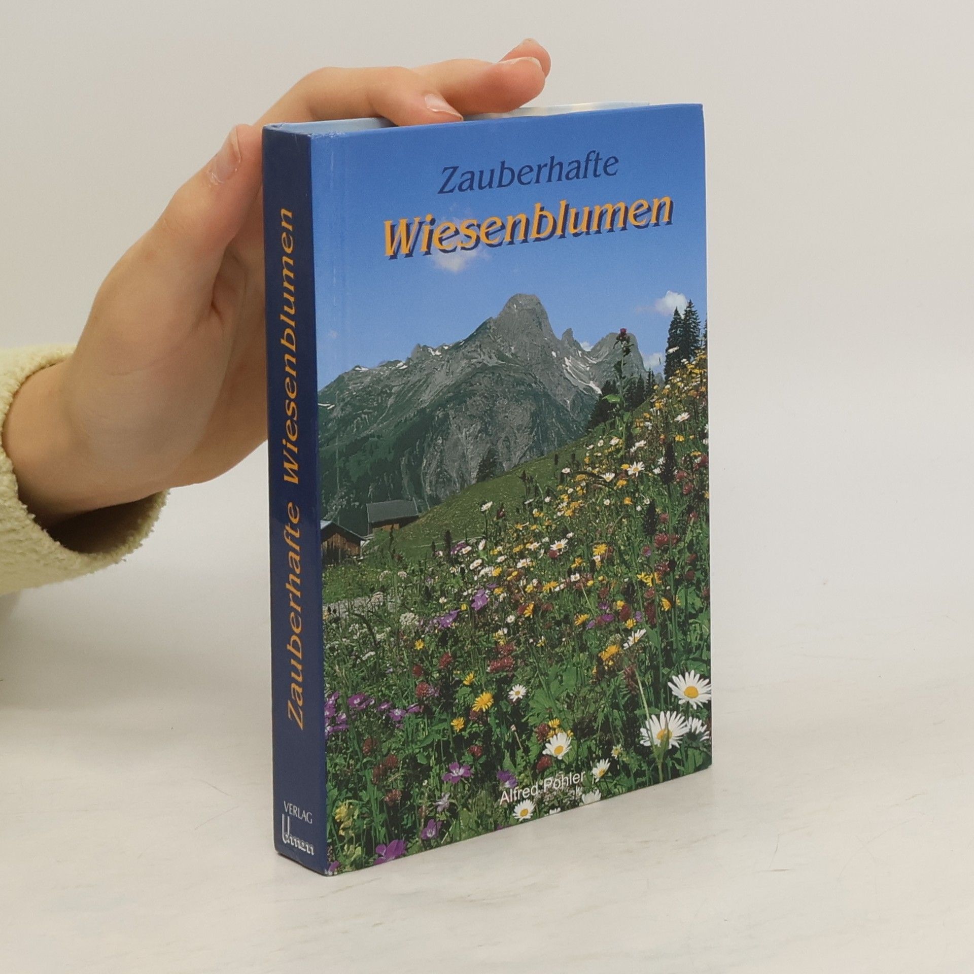 Alfred Pohler Zauberhafte Wiesenblumen
