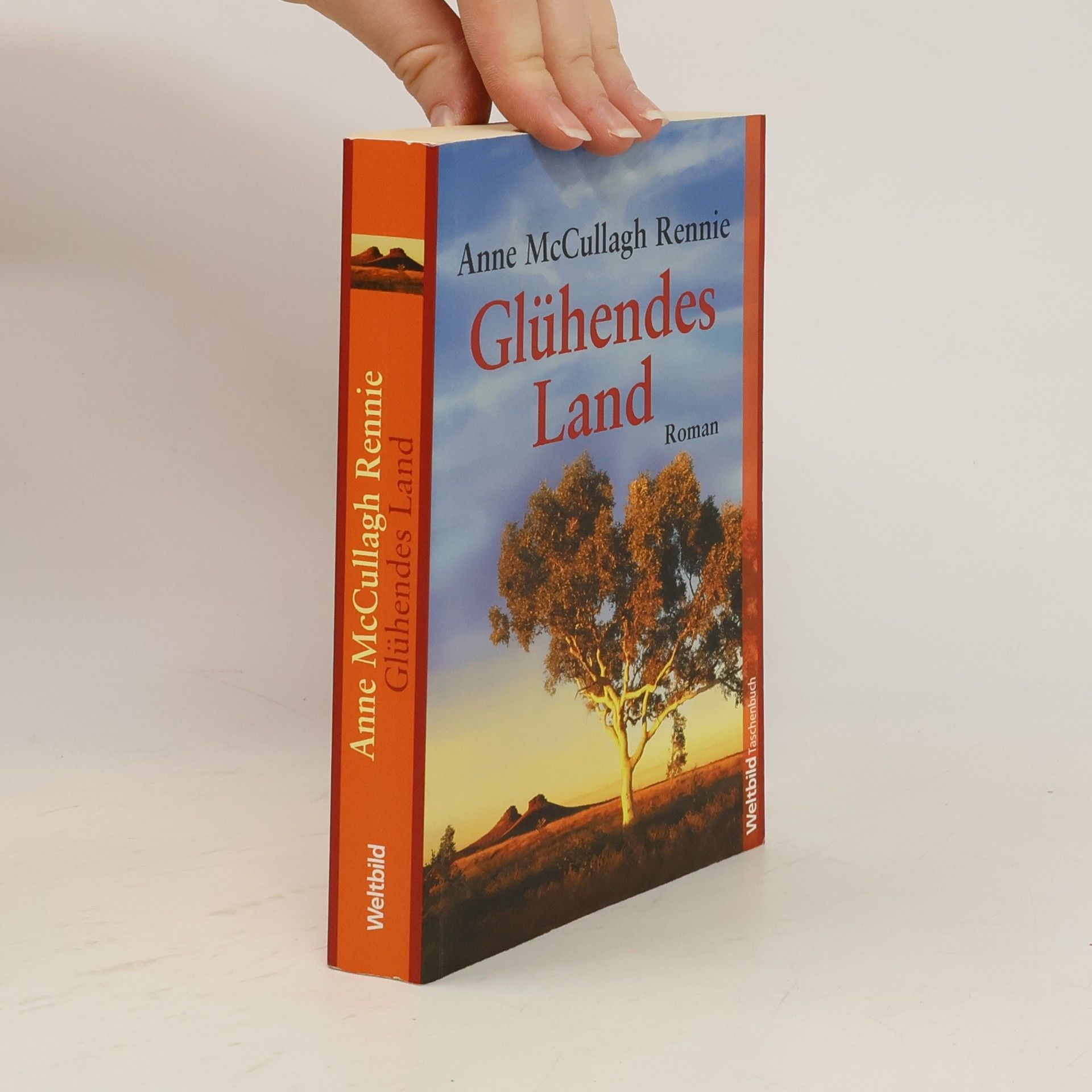Anne McCullagh Rennie Glühendes Land