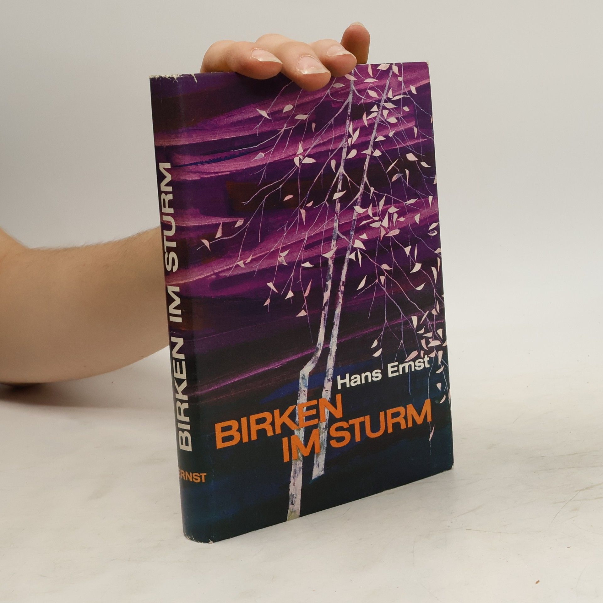Hans-Ernst Schwiete Birken im Sturm