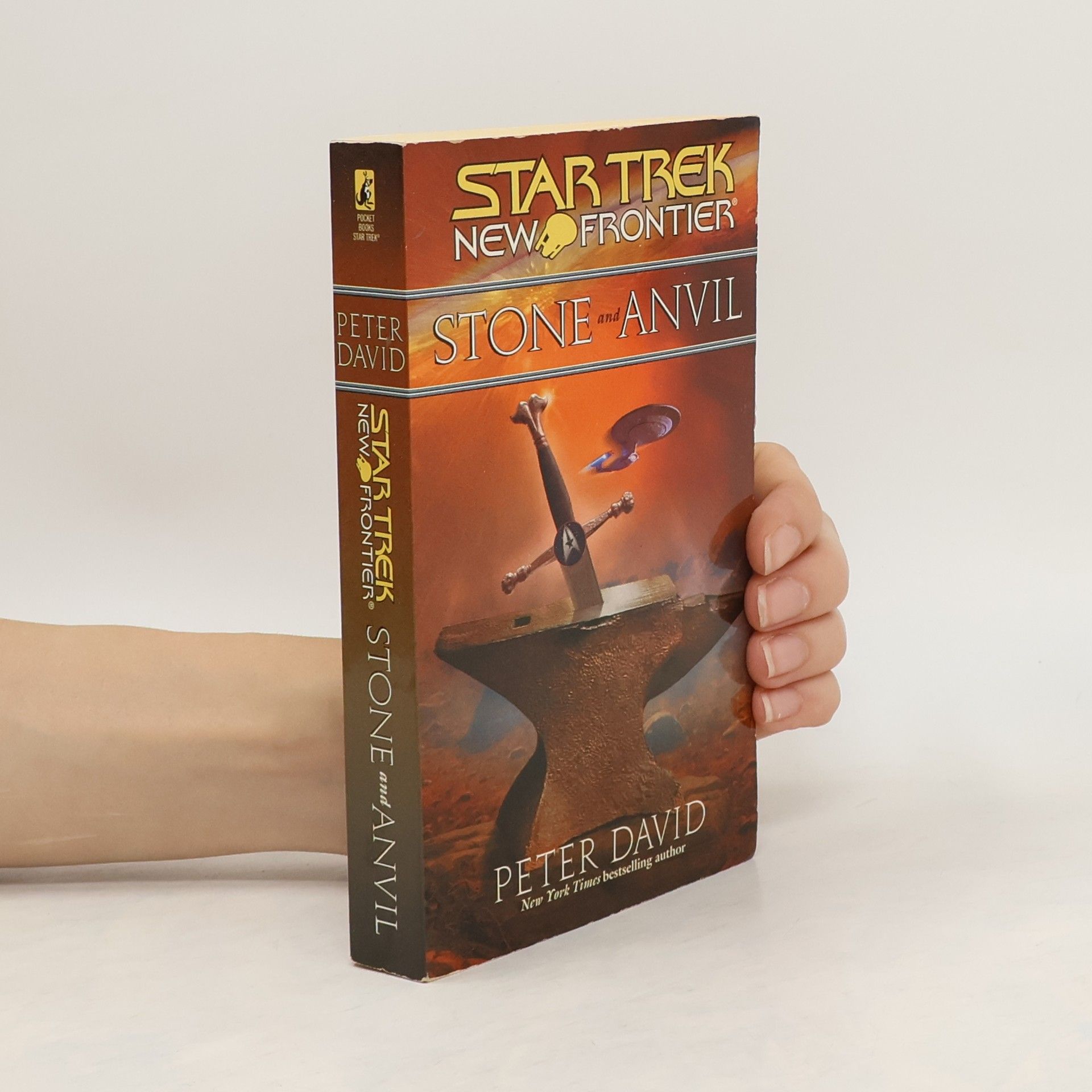 Peter David Star Trek: New Frontier: Stone and Anvil